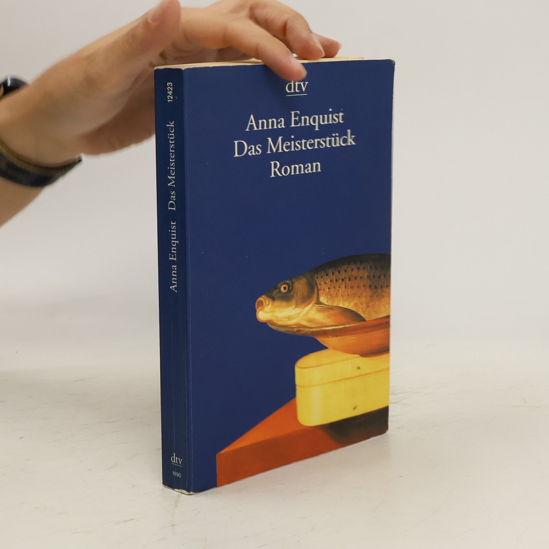 Anna Enquist Das Meisterstück