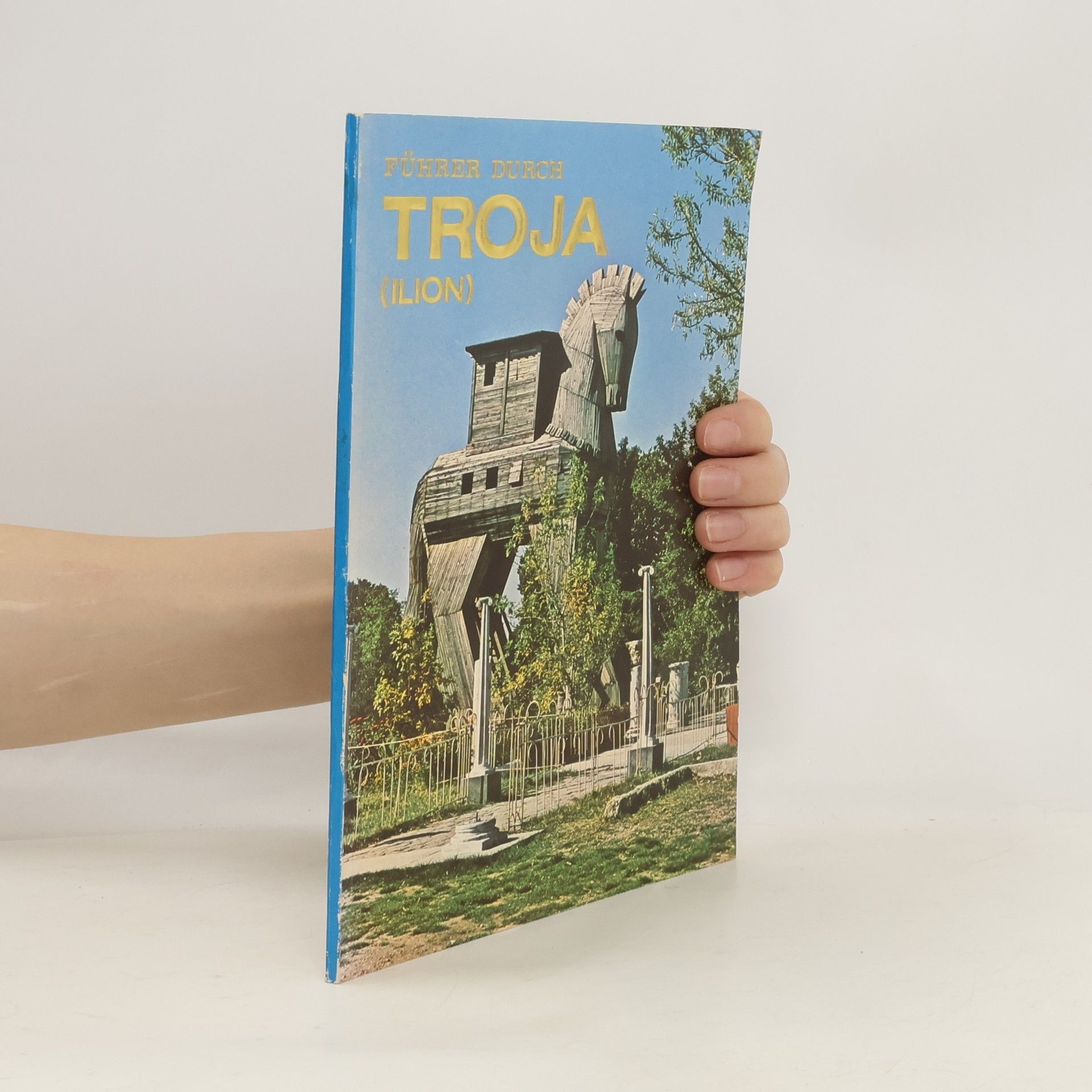 Mustafa Askin Führer Durch Troja (Ilion)