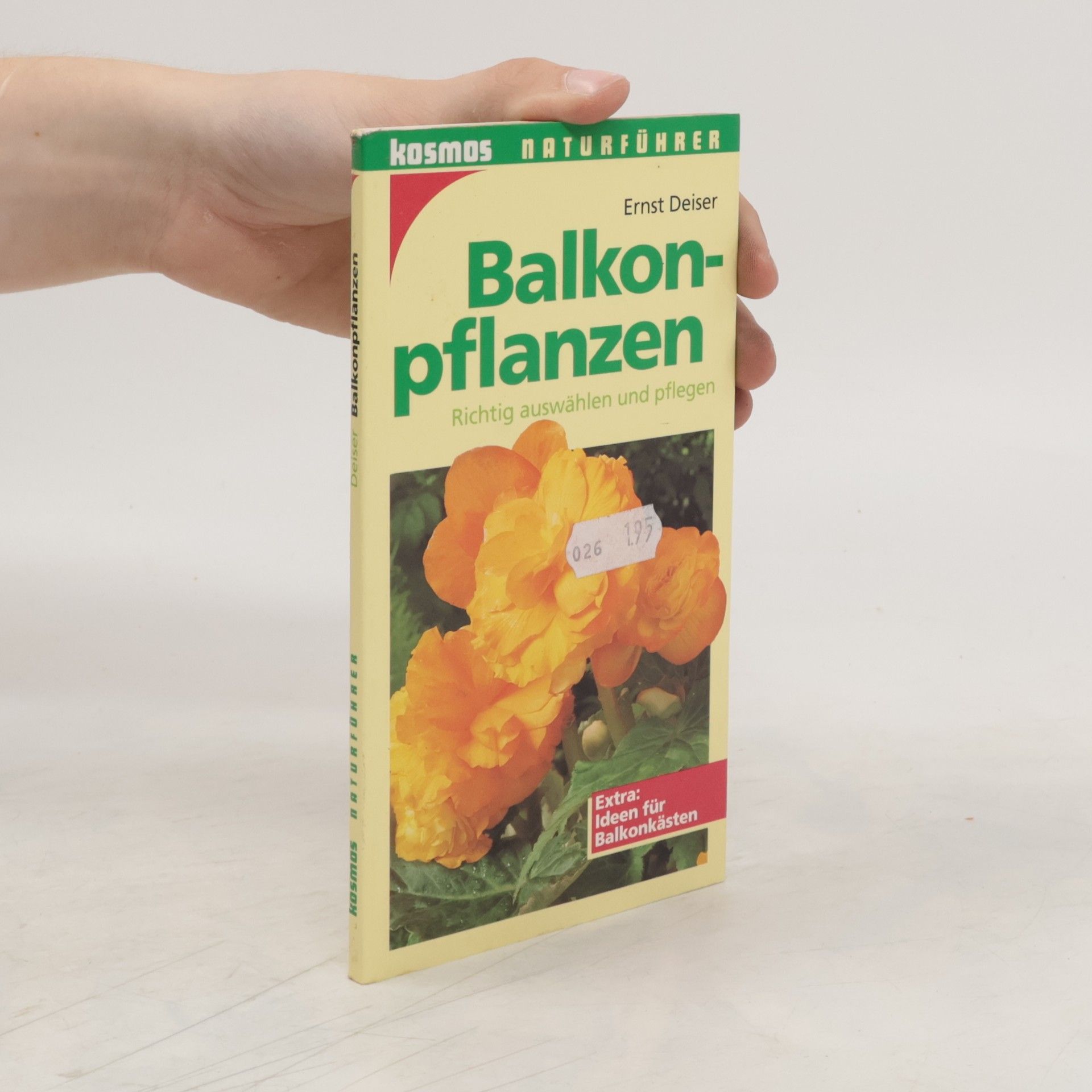 Ernst Deiser Balkonpflanzen