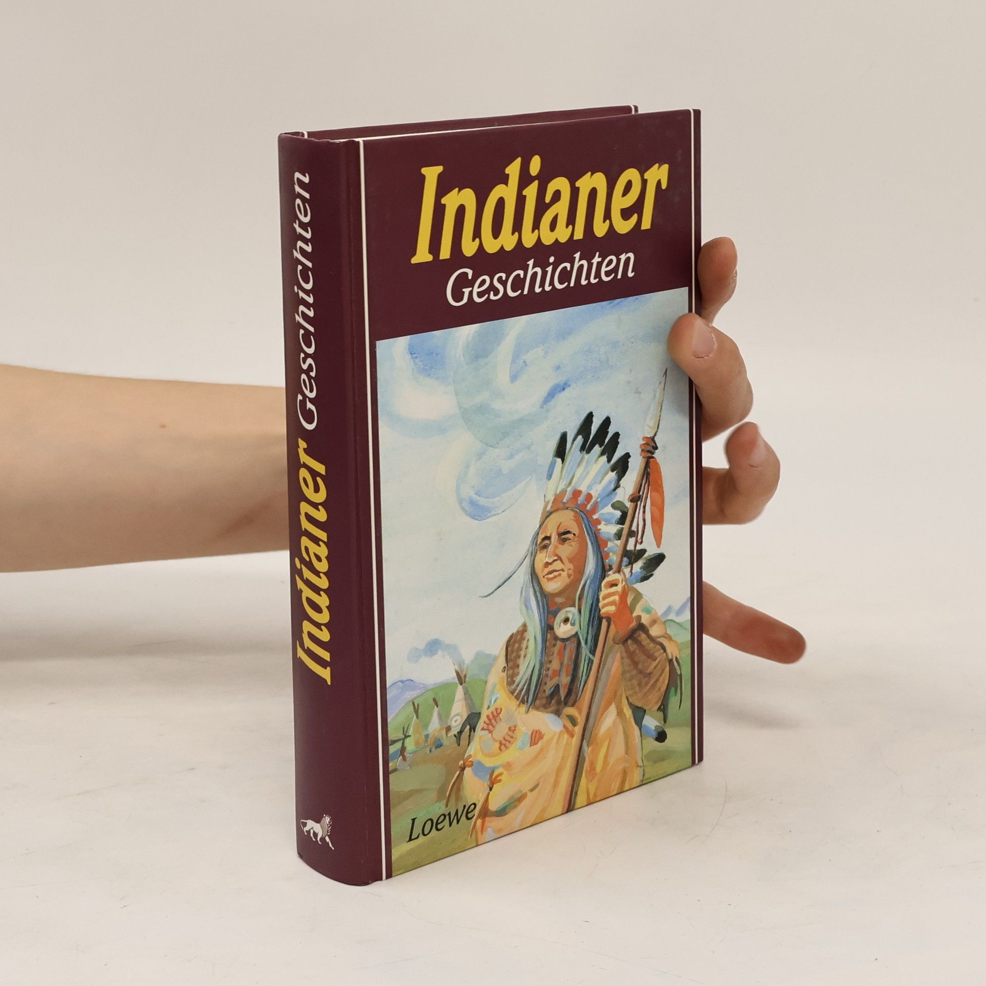 kolektiv Indianergeschichten