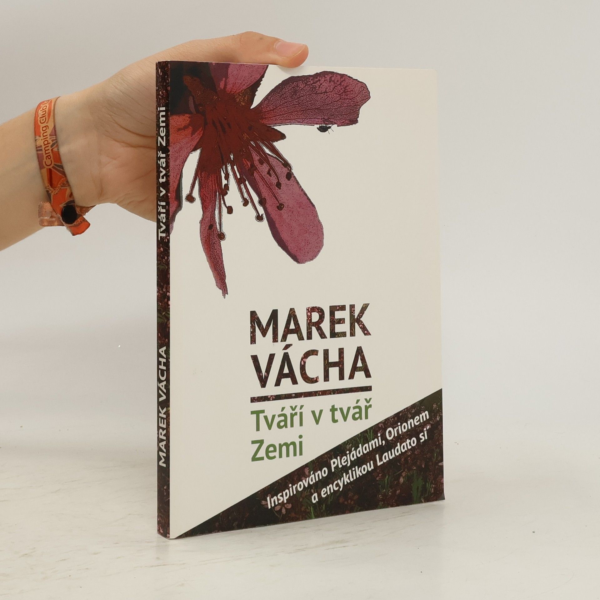 Marek Vácha Tváří v tvář Zemi