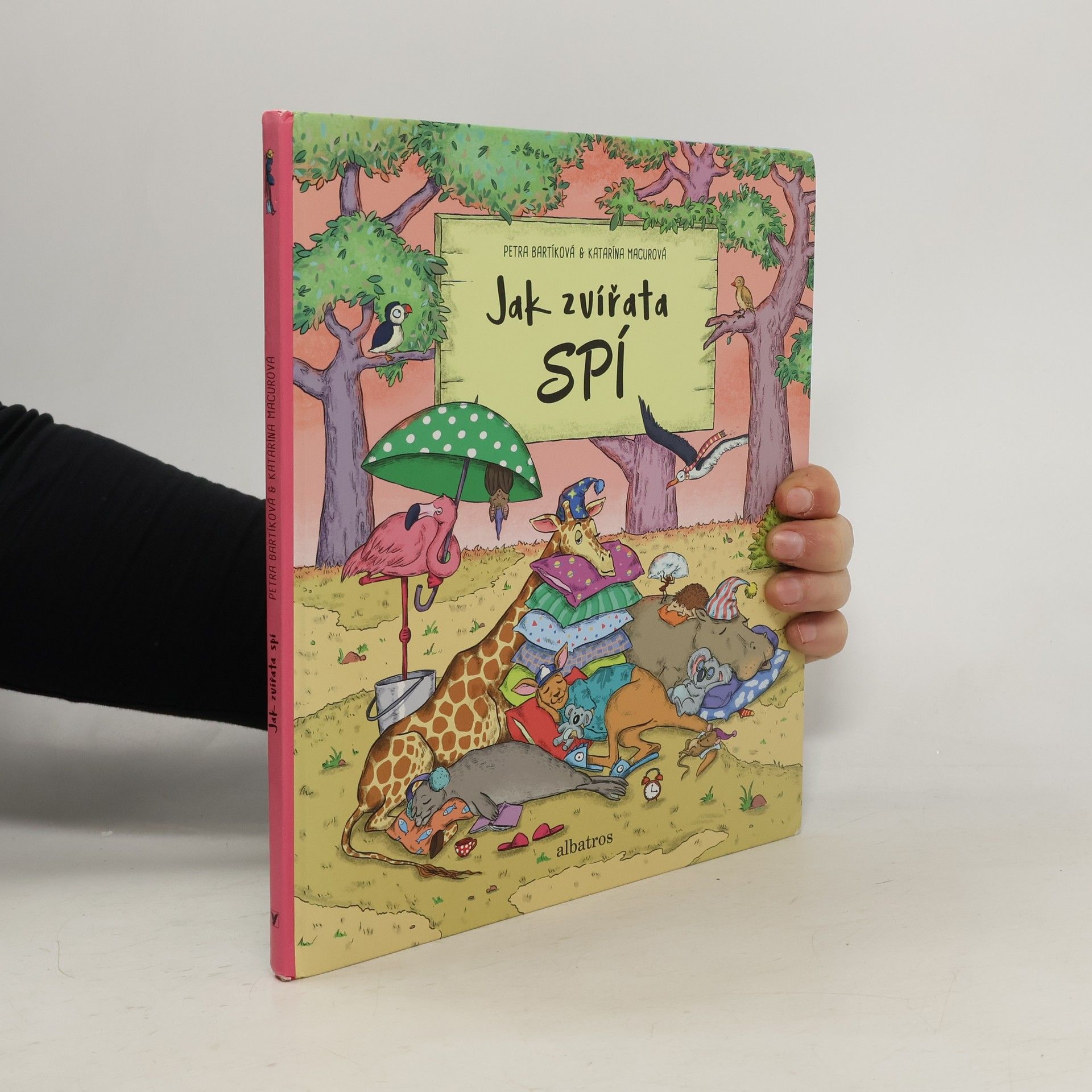 Petra Bartíková Jak zvířata spí