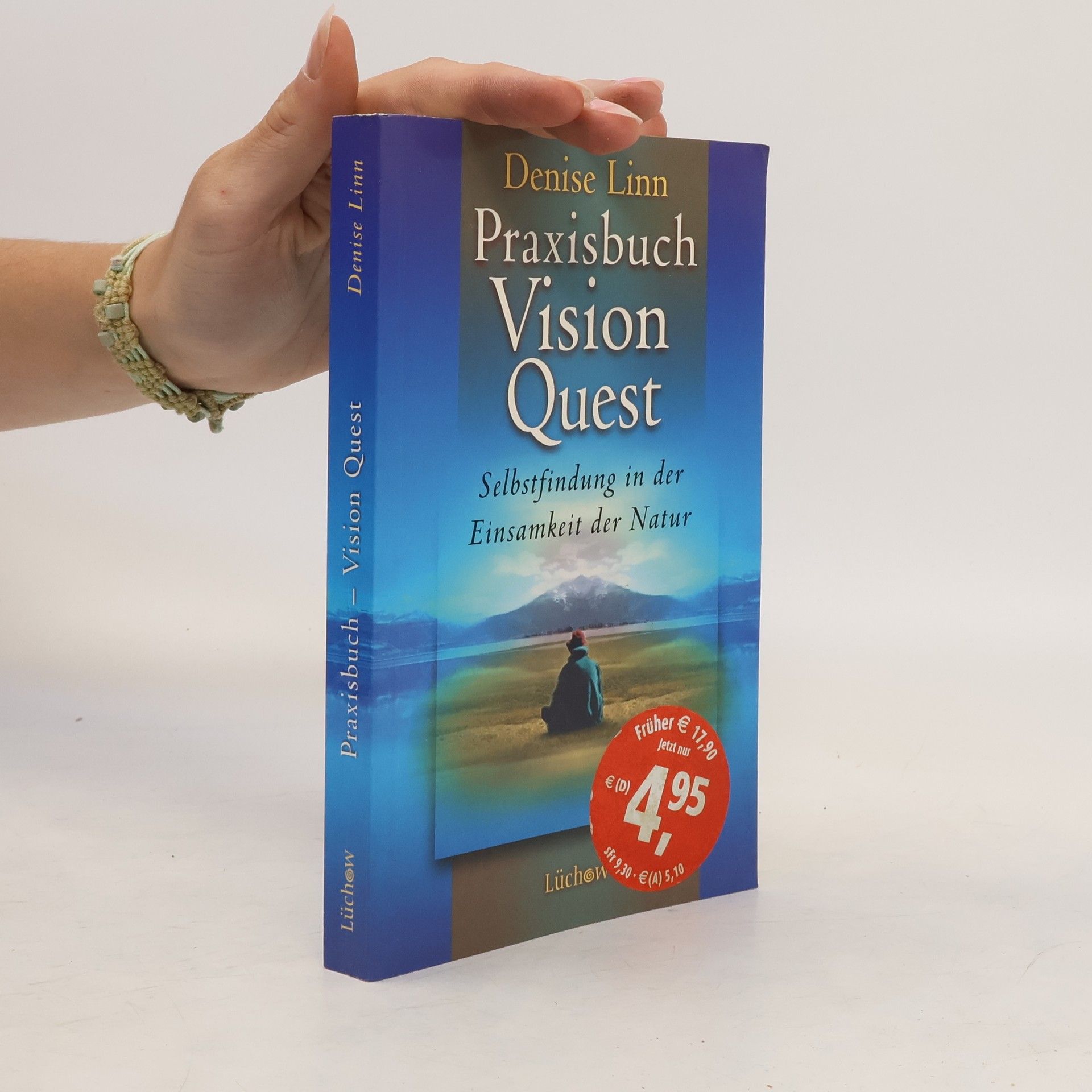 Denise Linn Praxisbuch vision quest