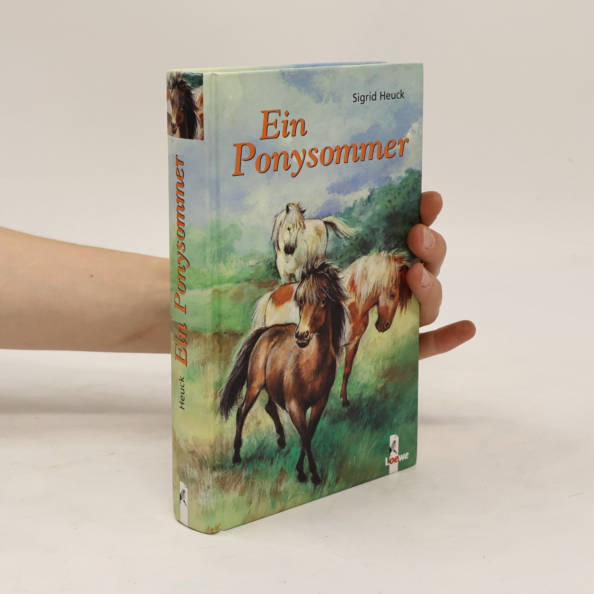 Sigrid Heuck Ein Ponysommer