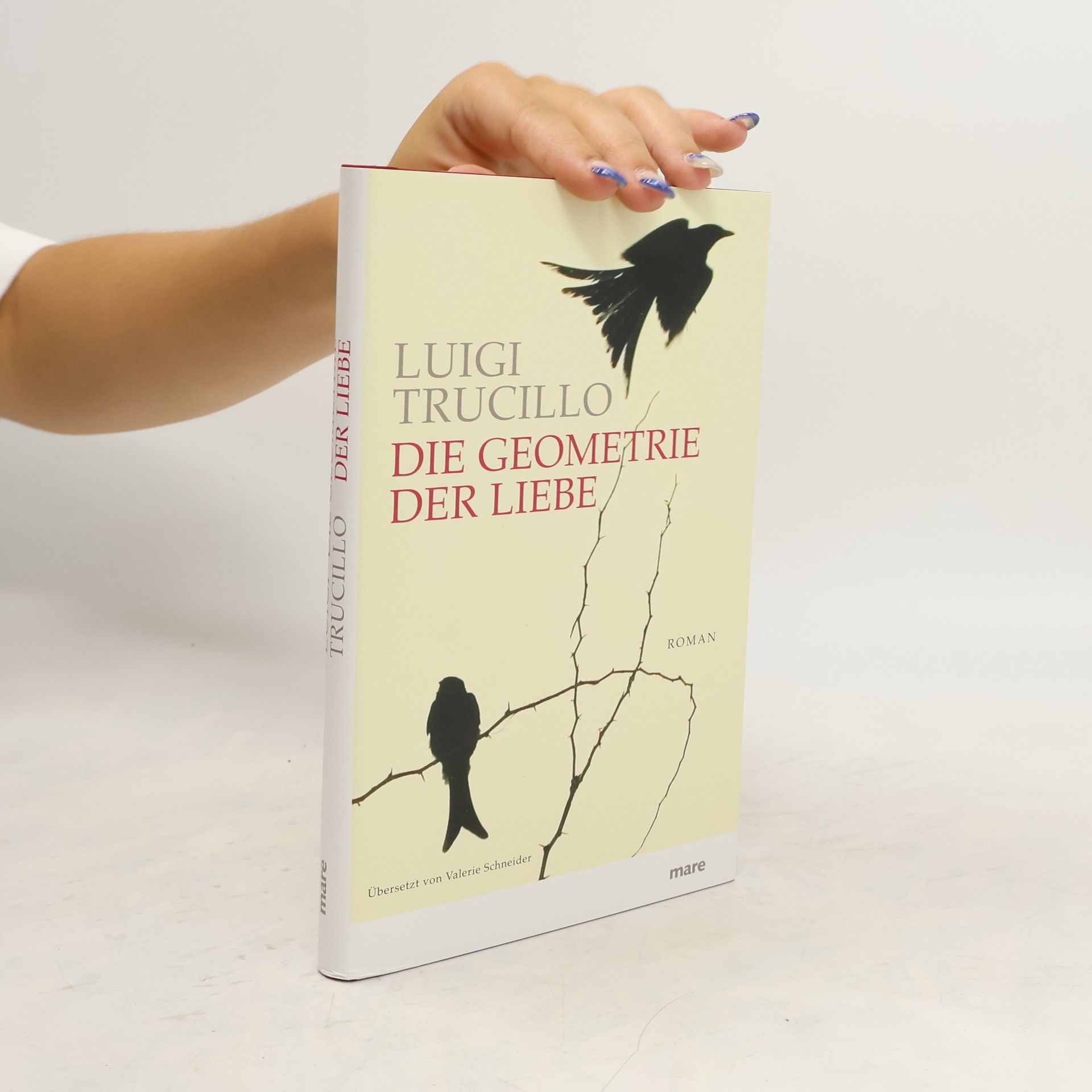 Luigi Trucillo Die Geometrie der Liebe