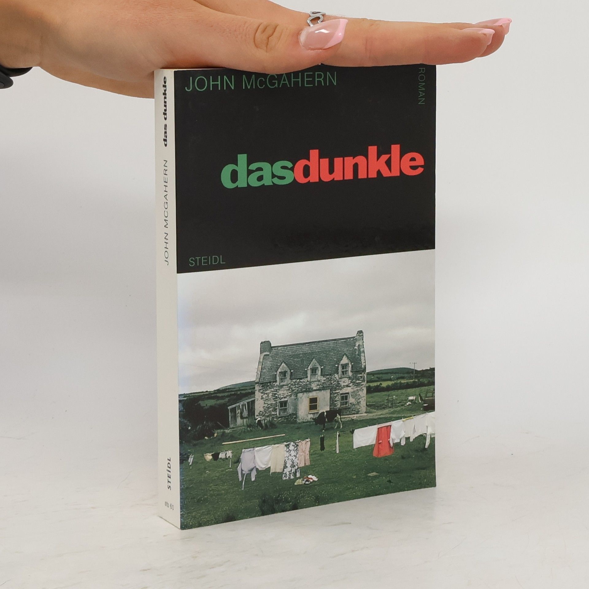 John McGahern Das Dunkle