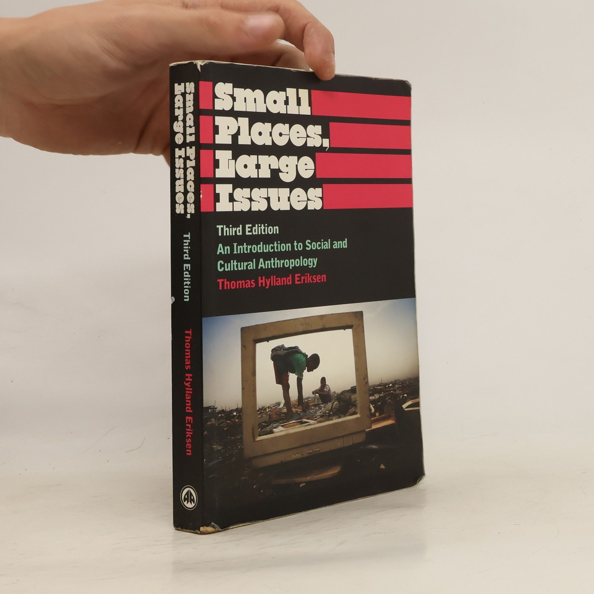 Thomas Hylland Eriksen Small Places, Large Issues