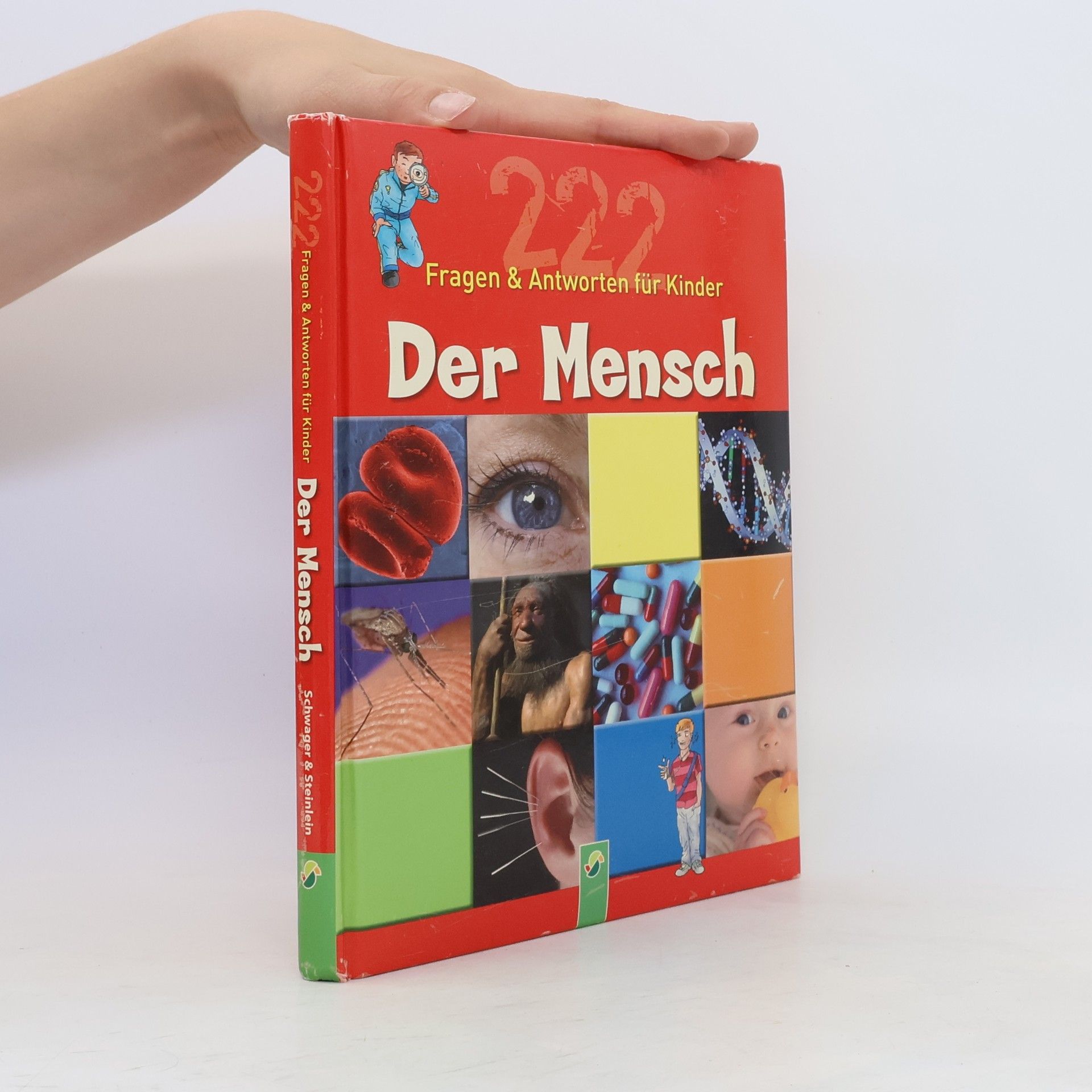 Andreas Belser Der Mensch
