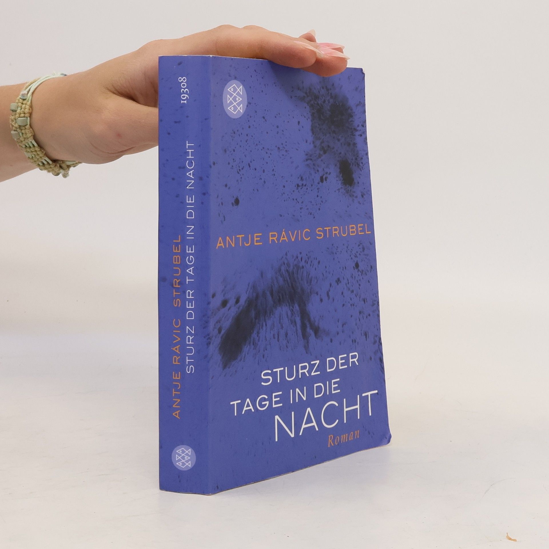 Antje Rávik Strubel Sturz der Tage in die Nacht