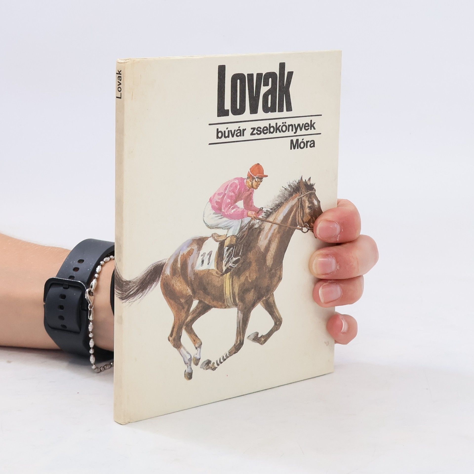 Ágnes Szidnainé Csete Lovak