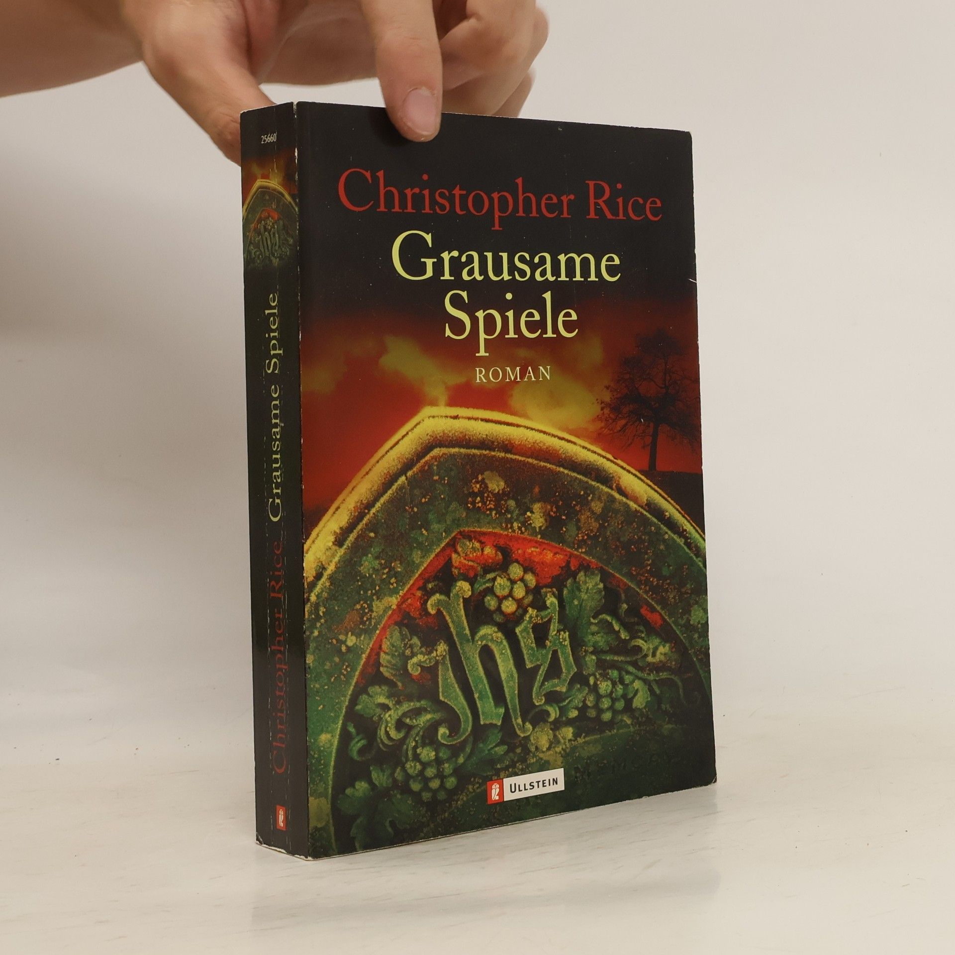 Christopher Rice Grausame Spiele