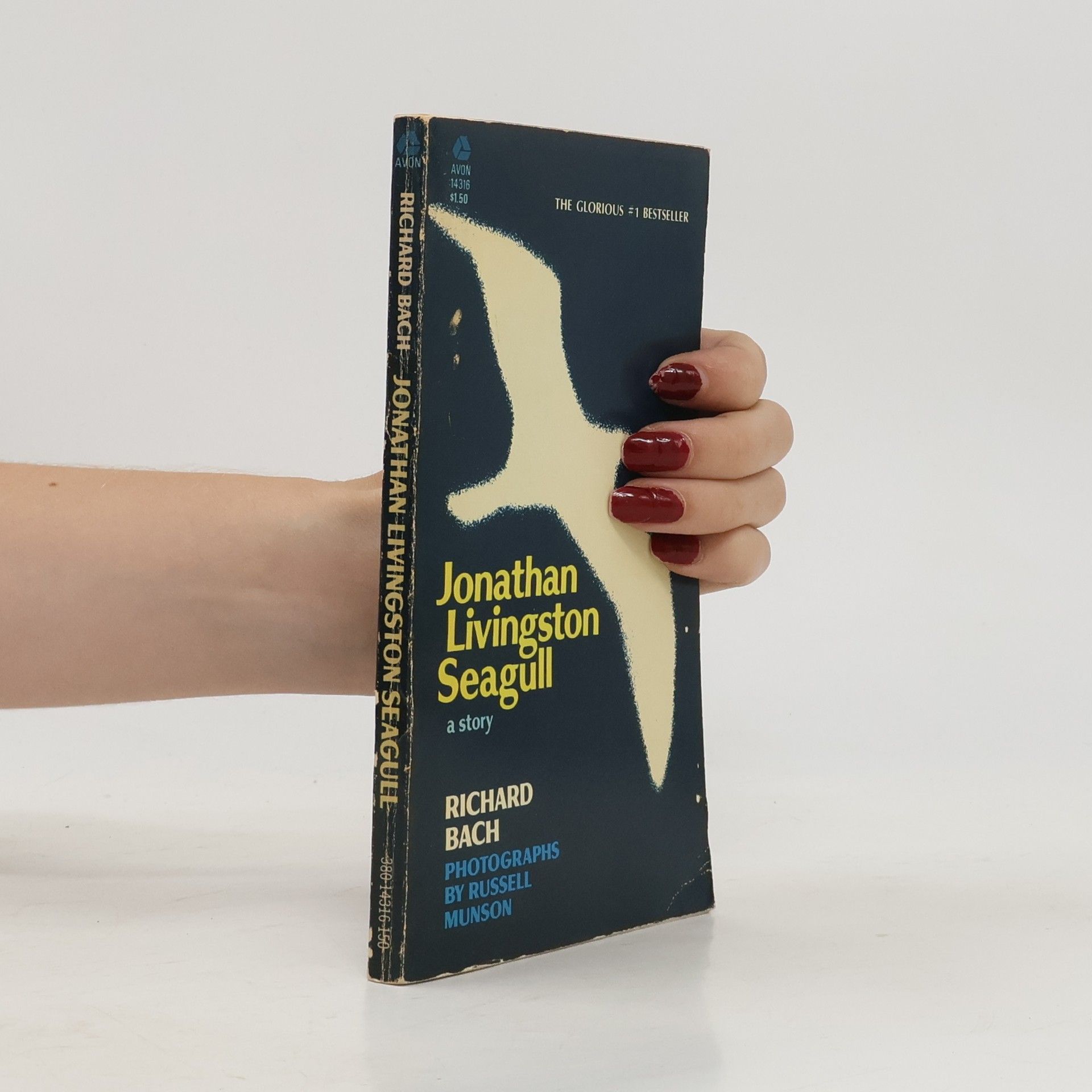Richard Bach Jonathan Livingston Seagull