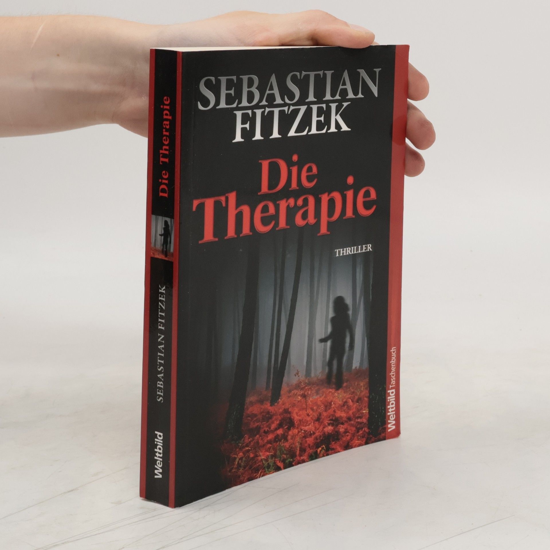 Sebastian Fitzek Die Therapie