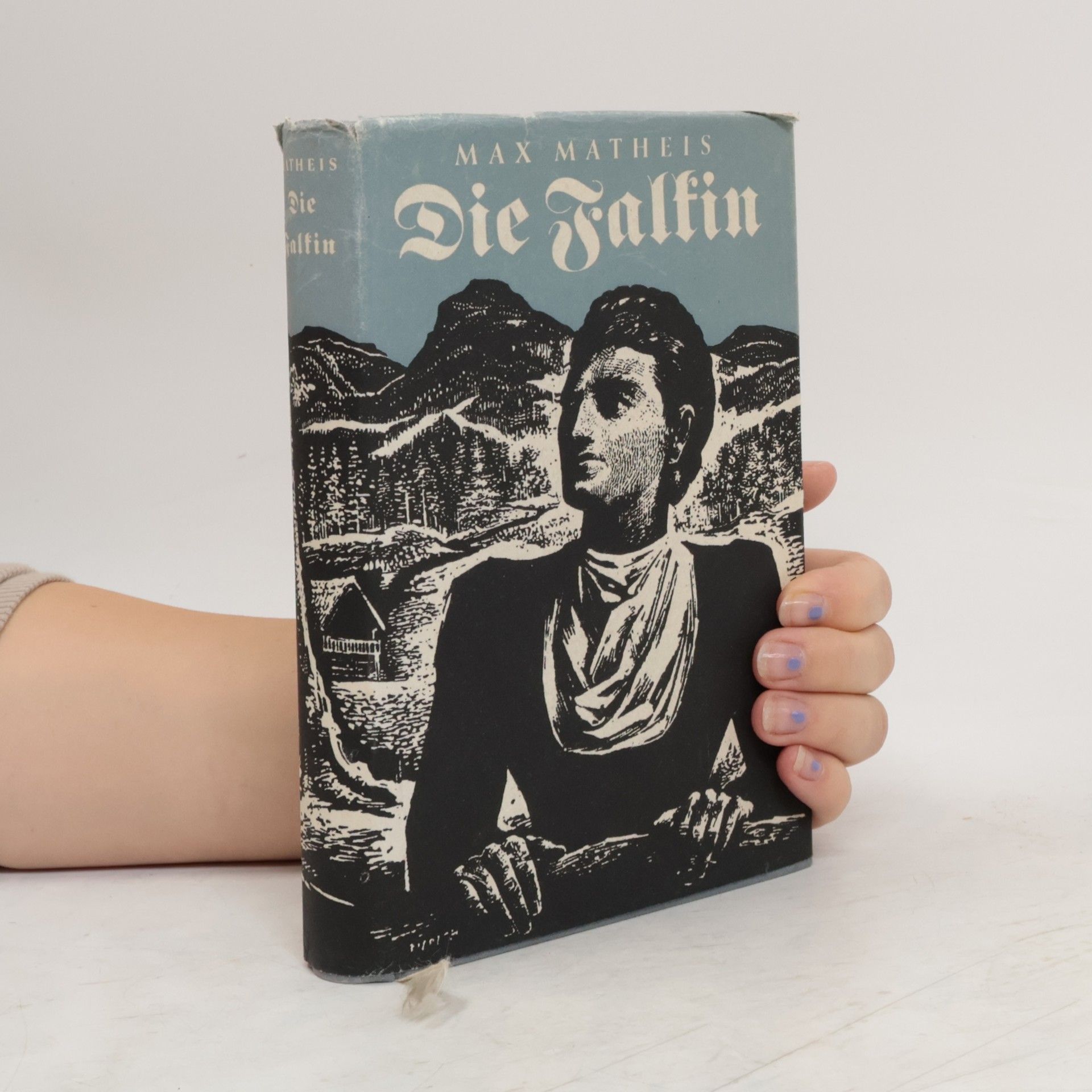 Max Matheis Die Falkin