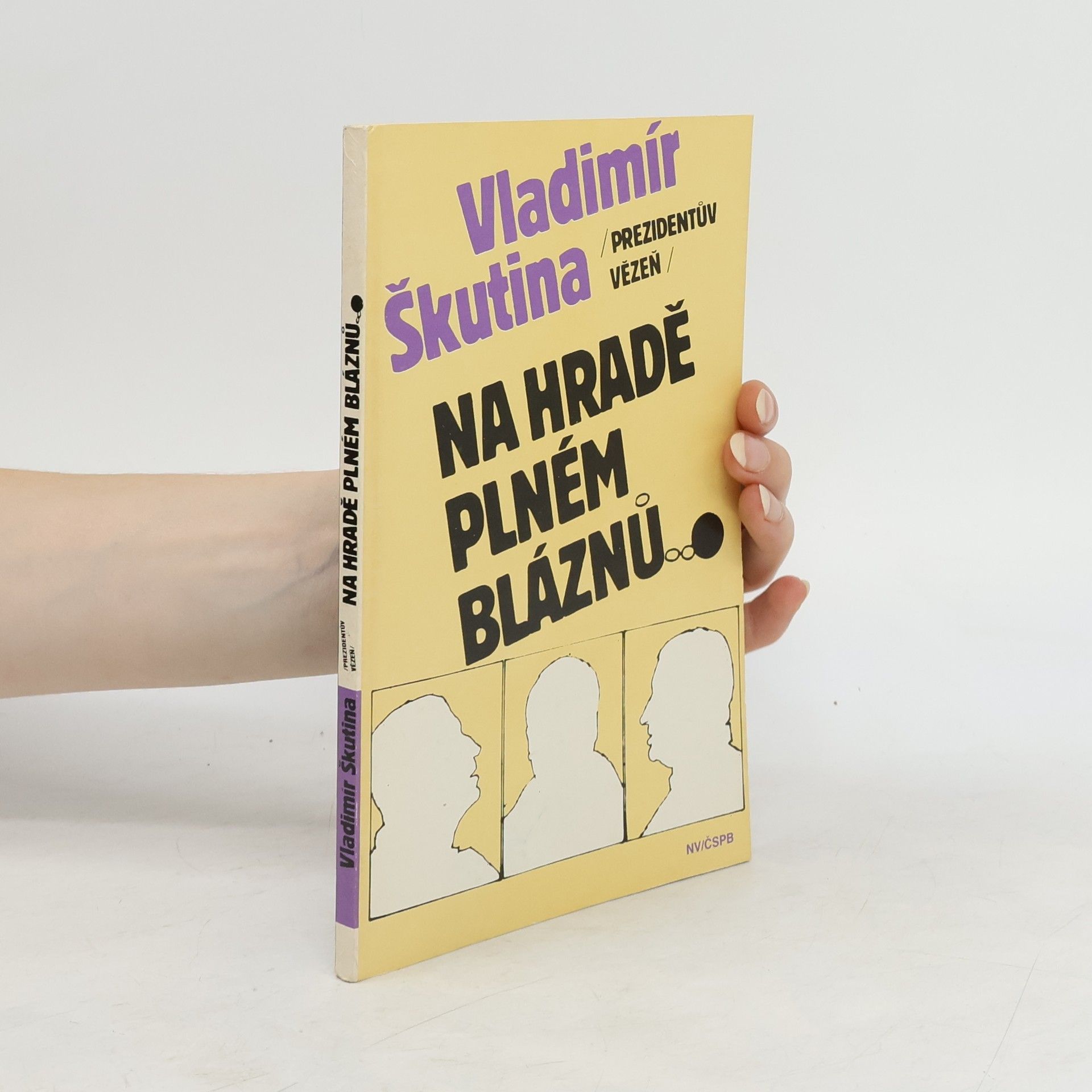 Vladimír Škutina Na hradě plném bláznů