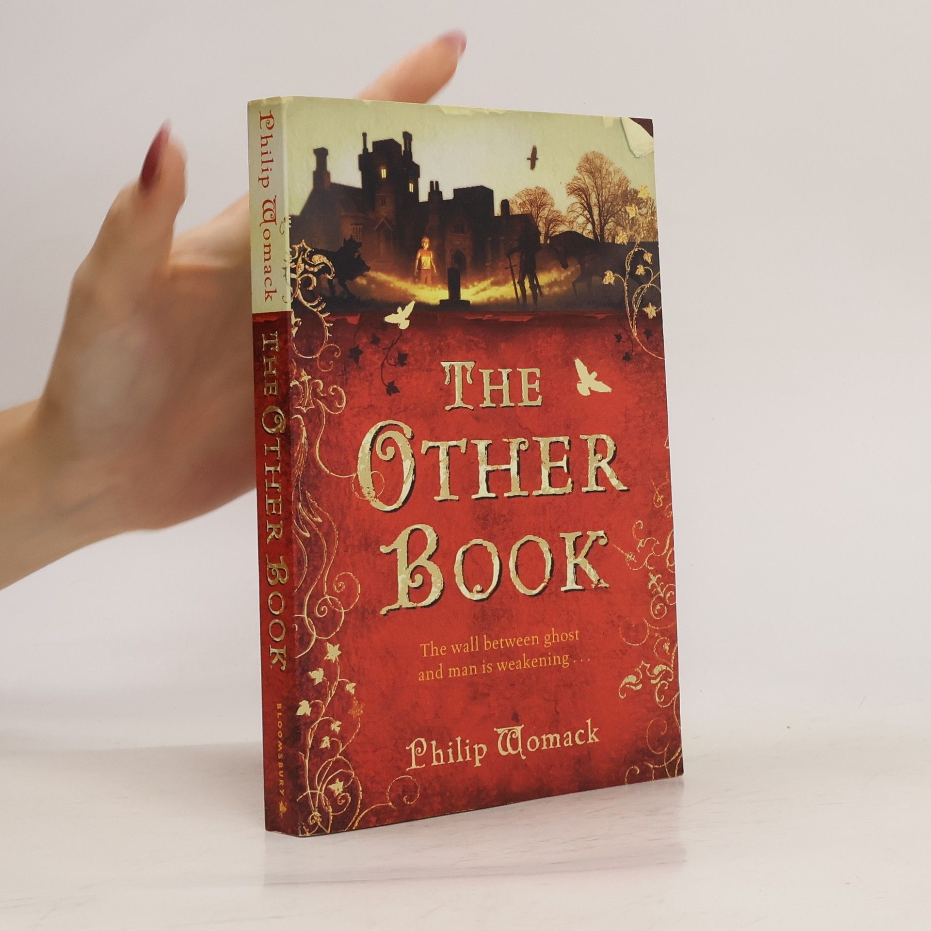 Philip Womack The Other Book