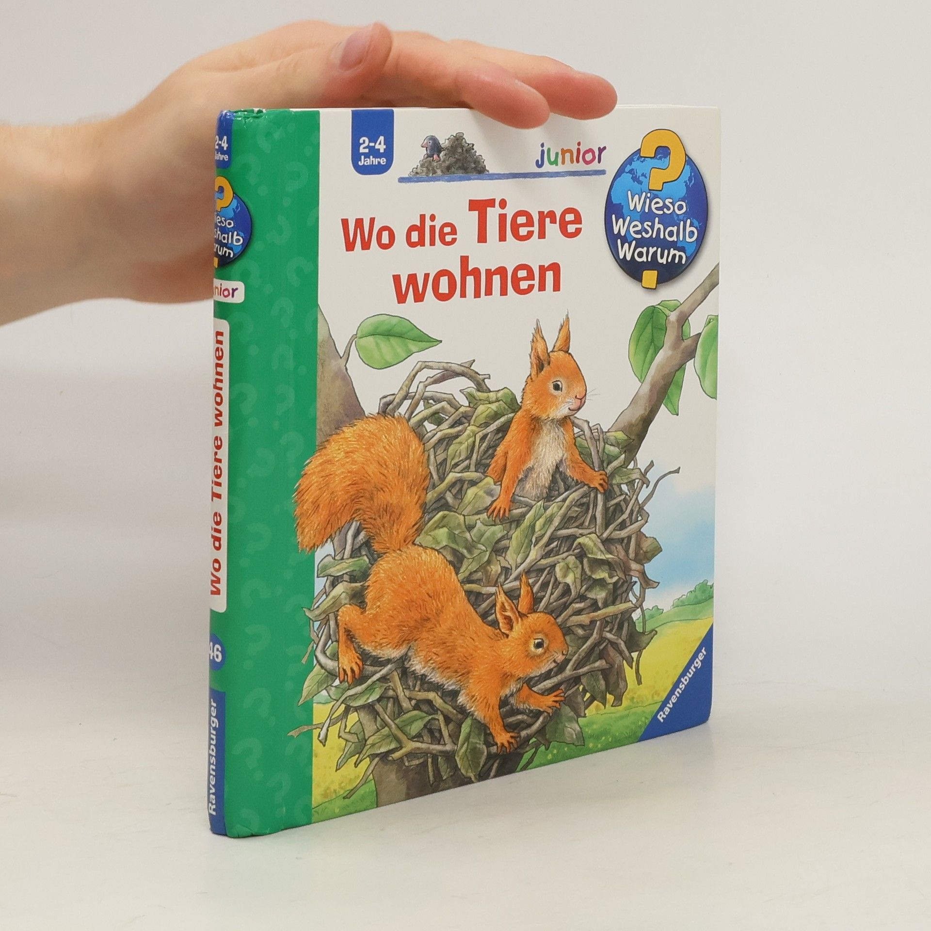 Anne Möller Wo die Tiere wohnen