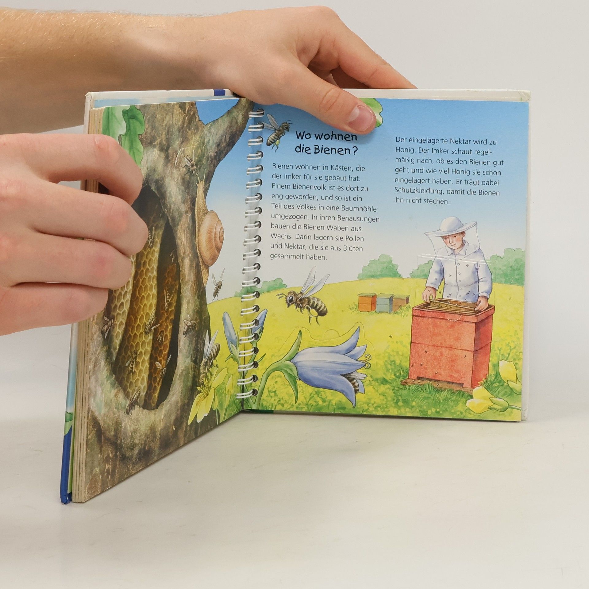 Anne Möller Wo die Tiere wohnen