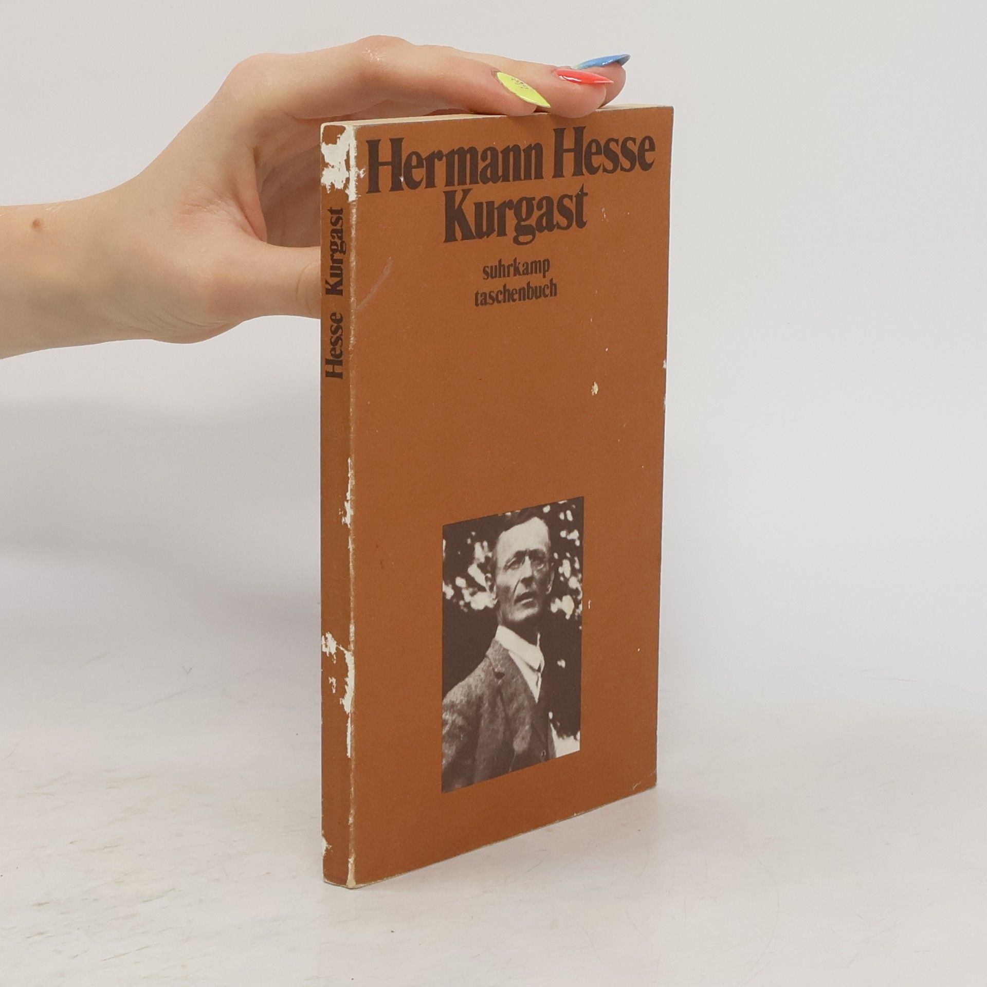Hermann Hesse Kurgast