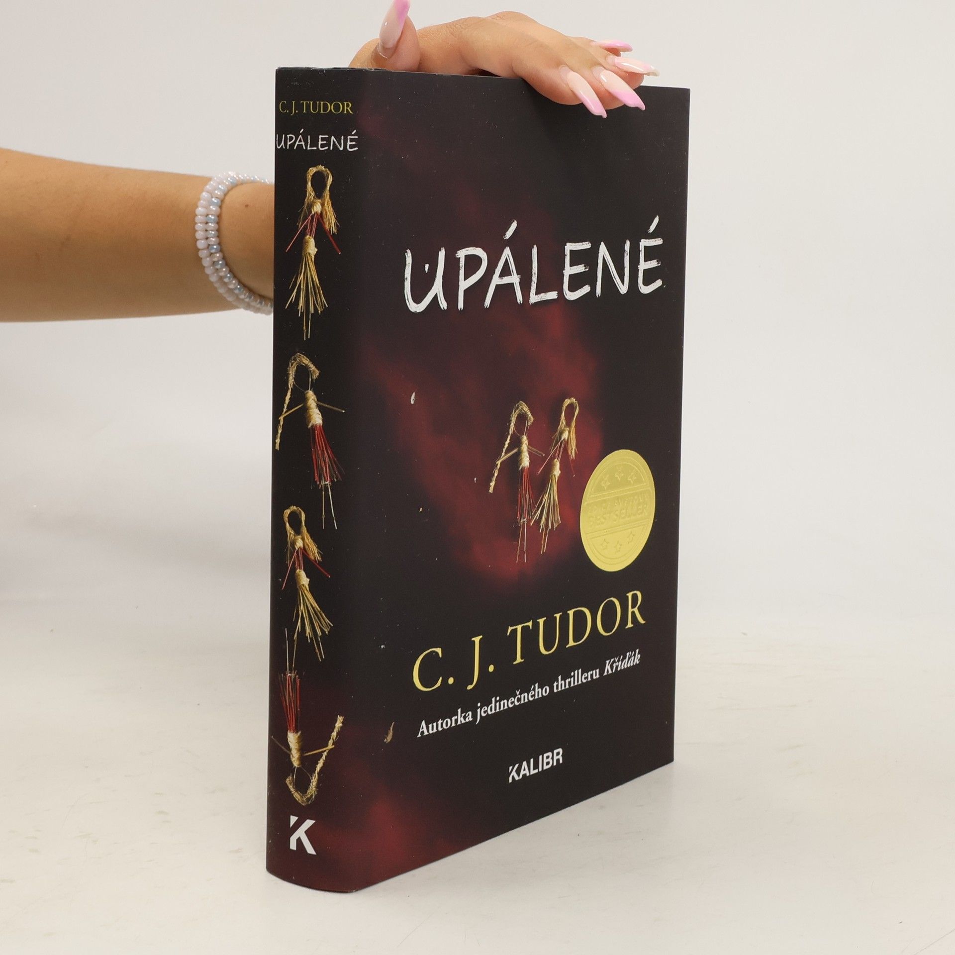 C. J. Tudor Upálené