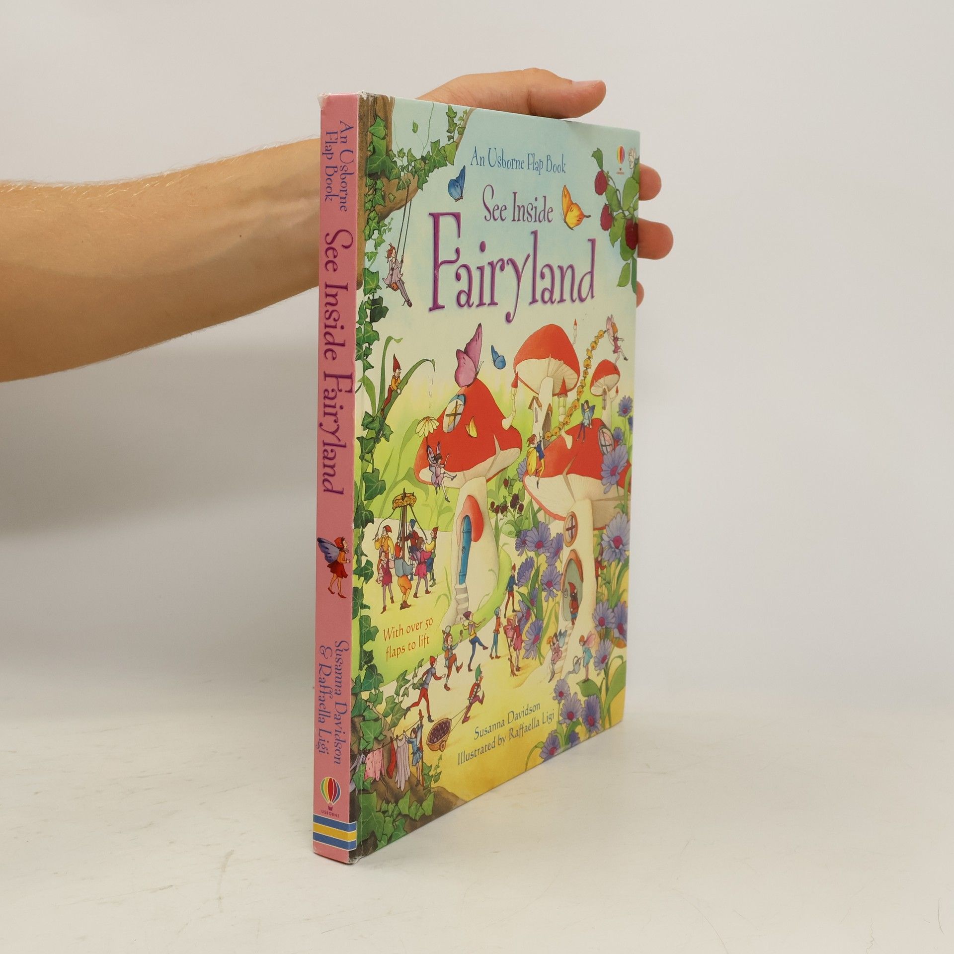 Zanna Davidson See inside Fairyland