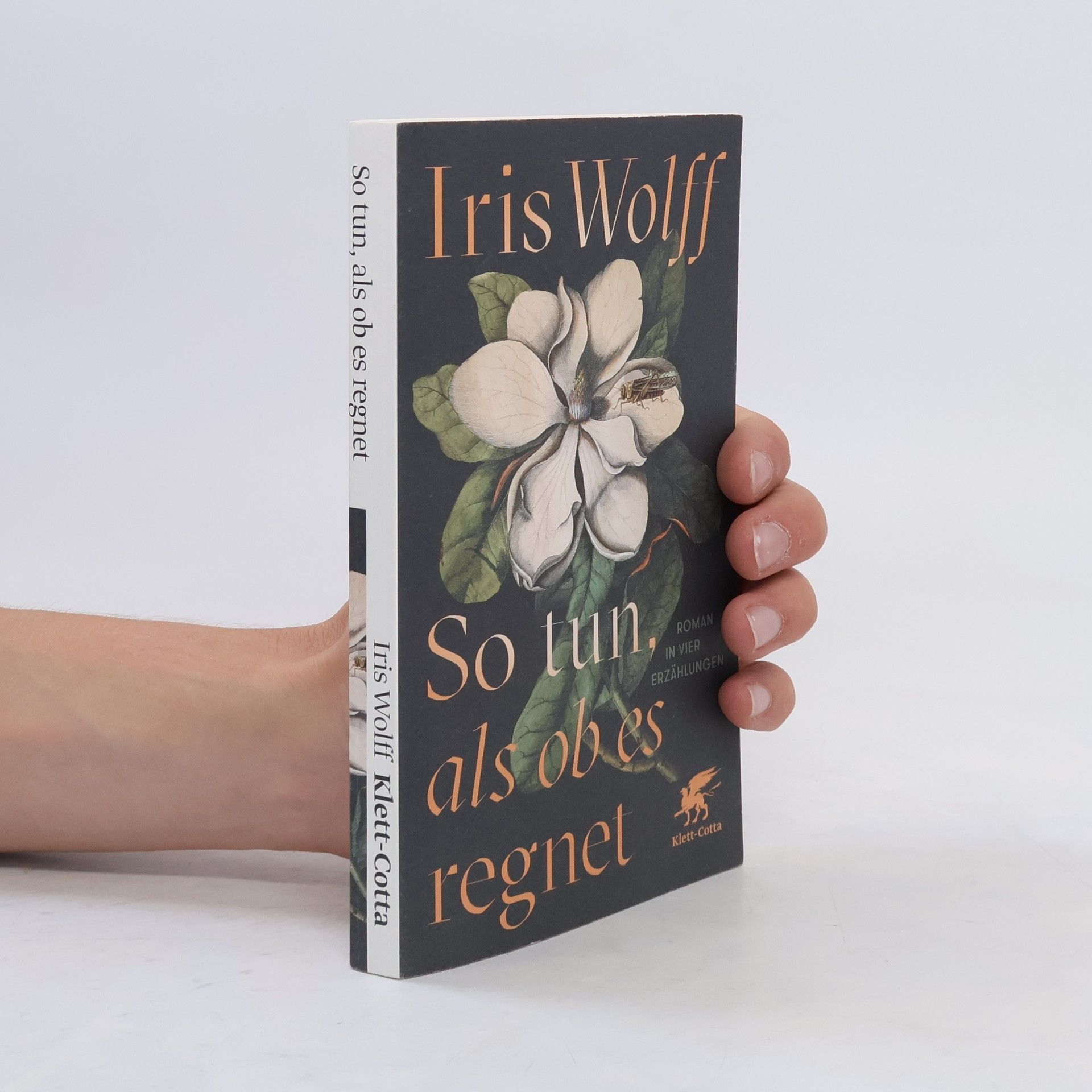 Iris Wolff So tun, als ob es regnet