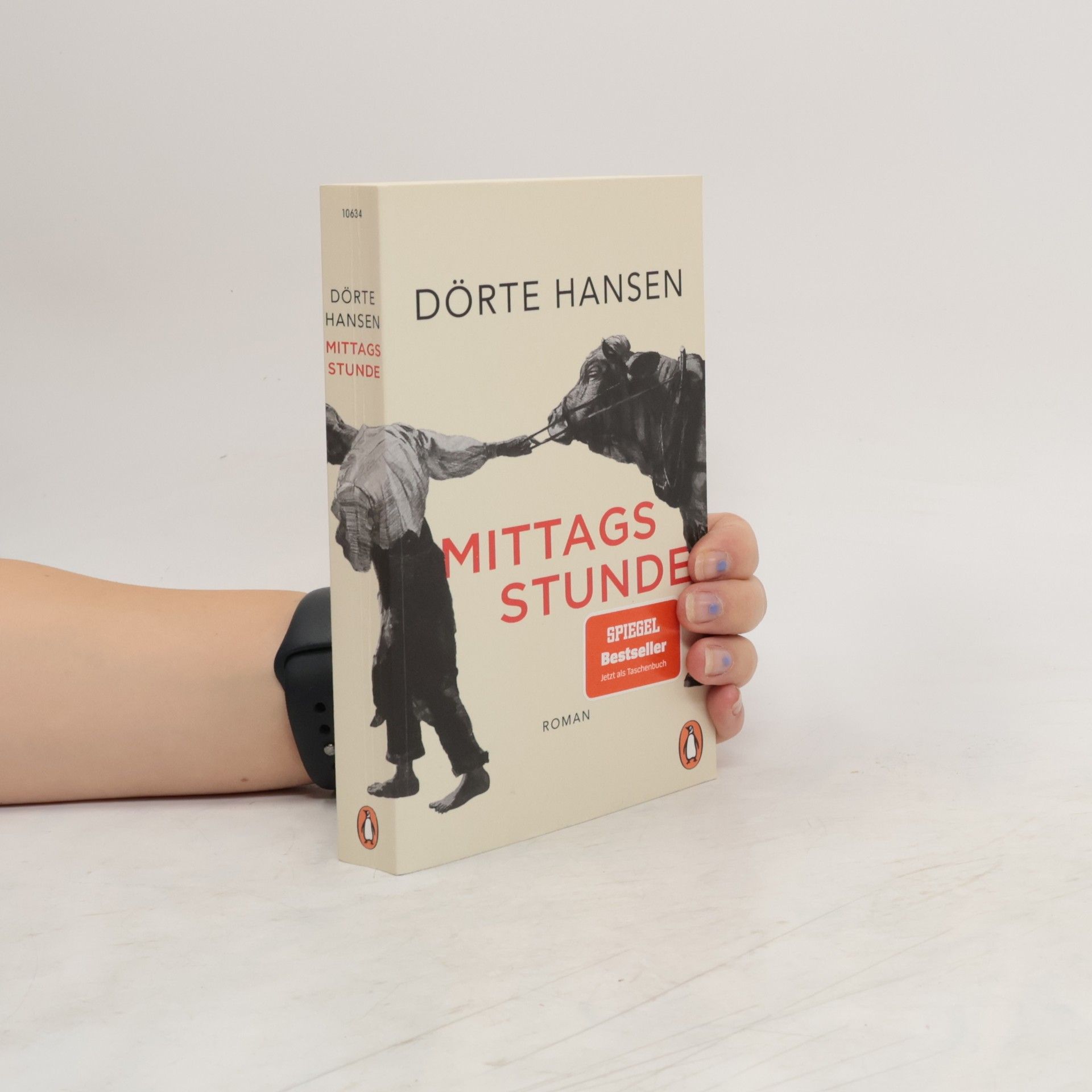 Dörte Hansen Mittagsstunde
