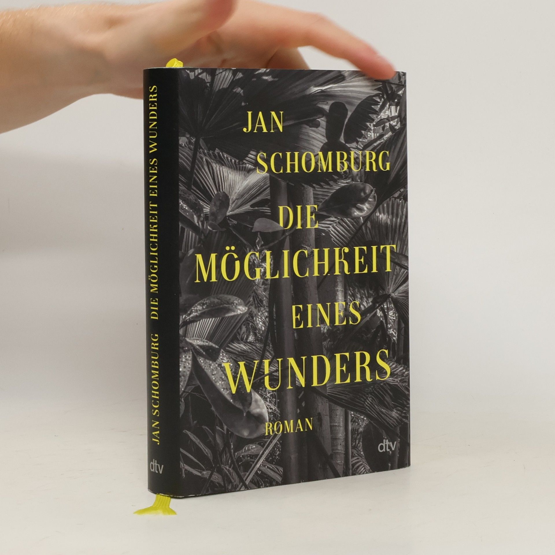 Jan Schomburg Die Möglichkeit eines Wunders