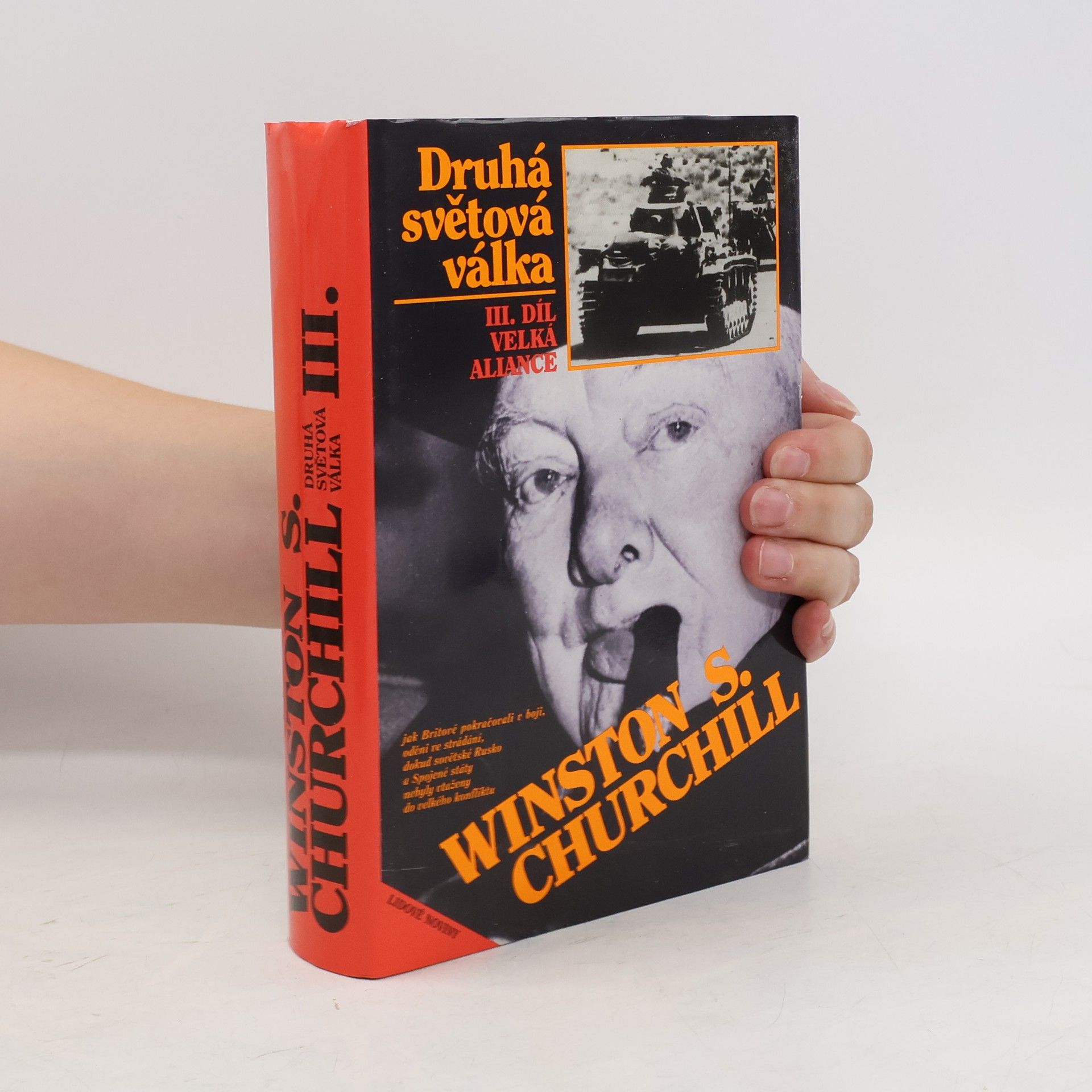 Druhá světová válka III. Velká aliance