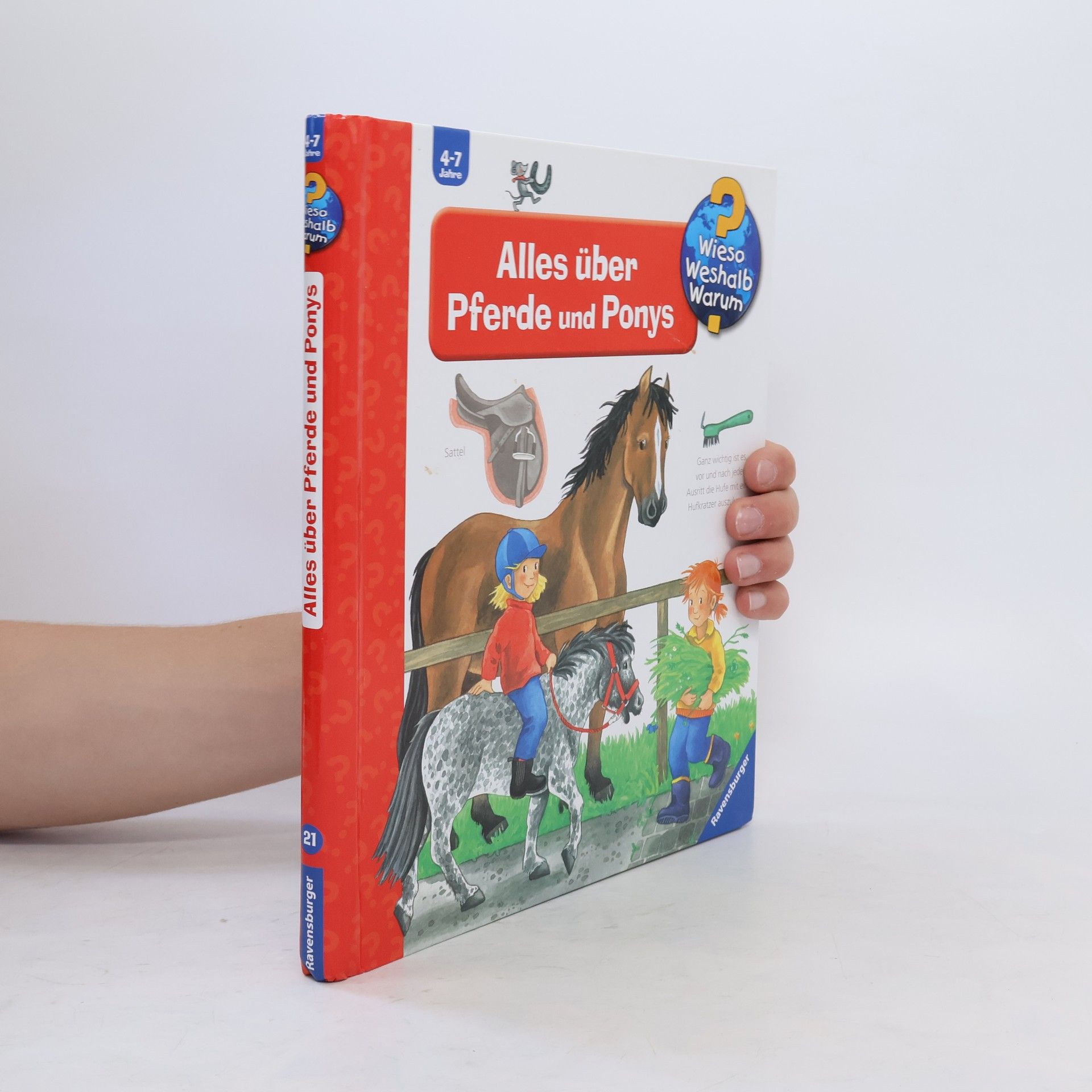 Andrea Erne Alles über Pferde und Ponys