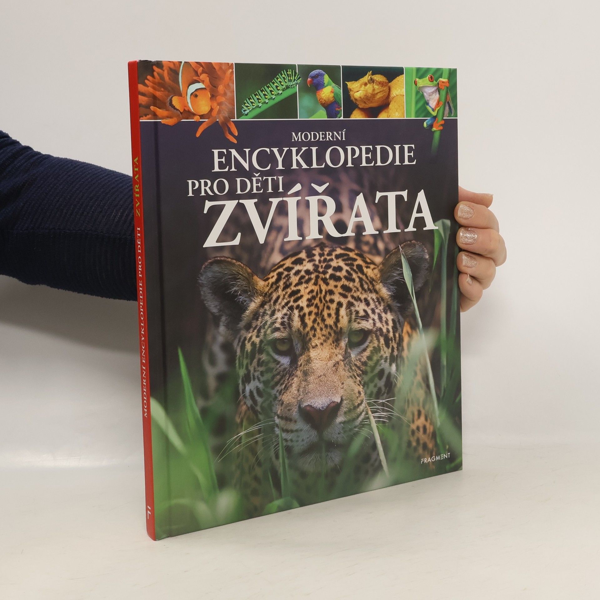 Michael Leach Zvířata: moderní encyklopedie pro děti