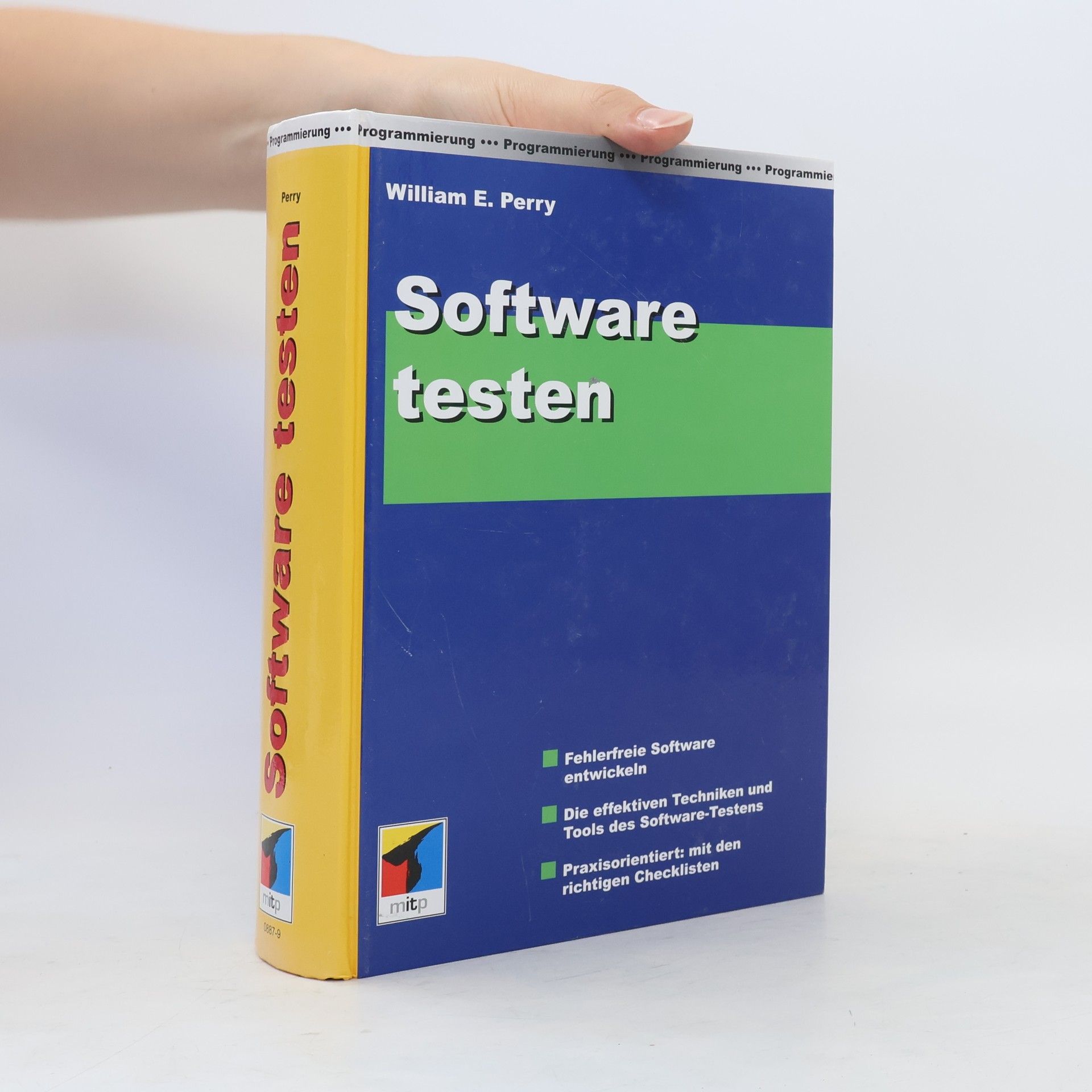 William E. Perry Software testen