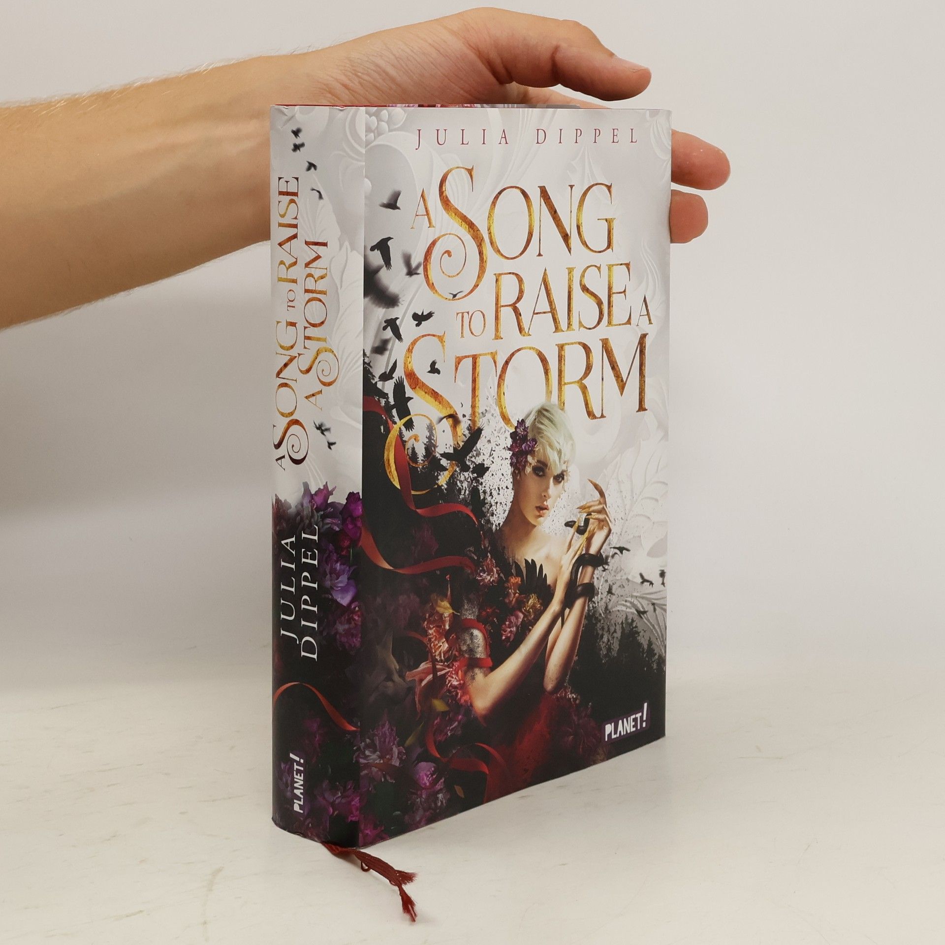 Julia Dippel Die Sonnenfeuer-Ballade 1: A Song to Raise a Storm