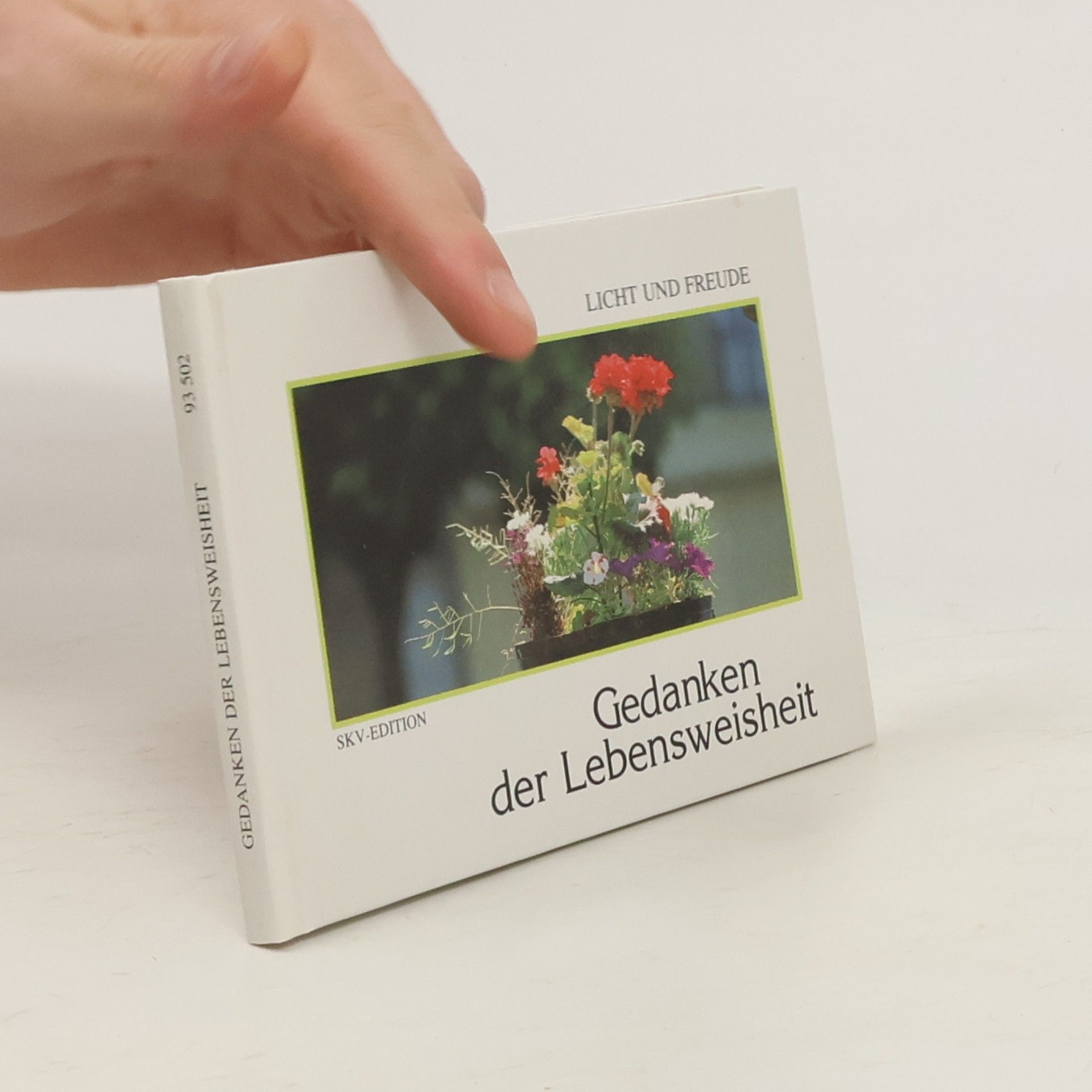 Kolektív autorov Gedanken der Lebensweisheit