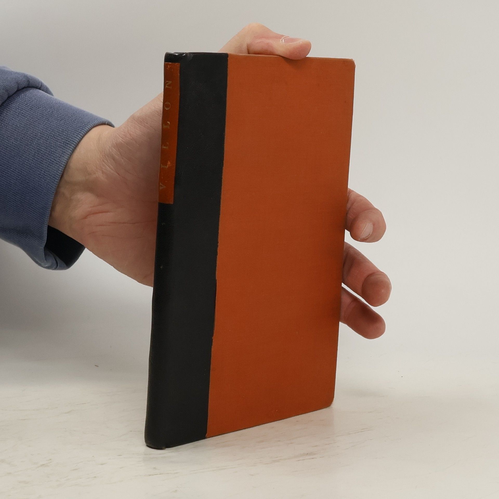 François Villon Prokletí básníci 1. Villon