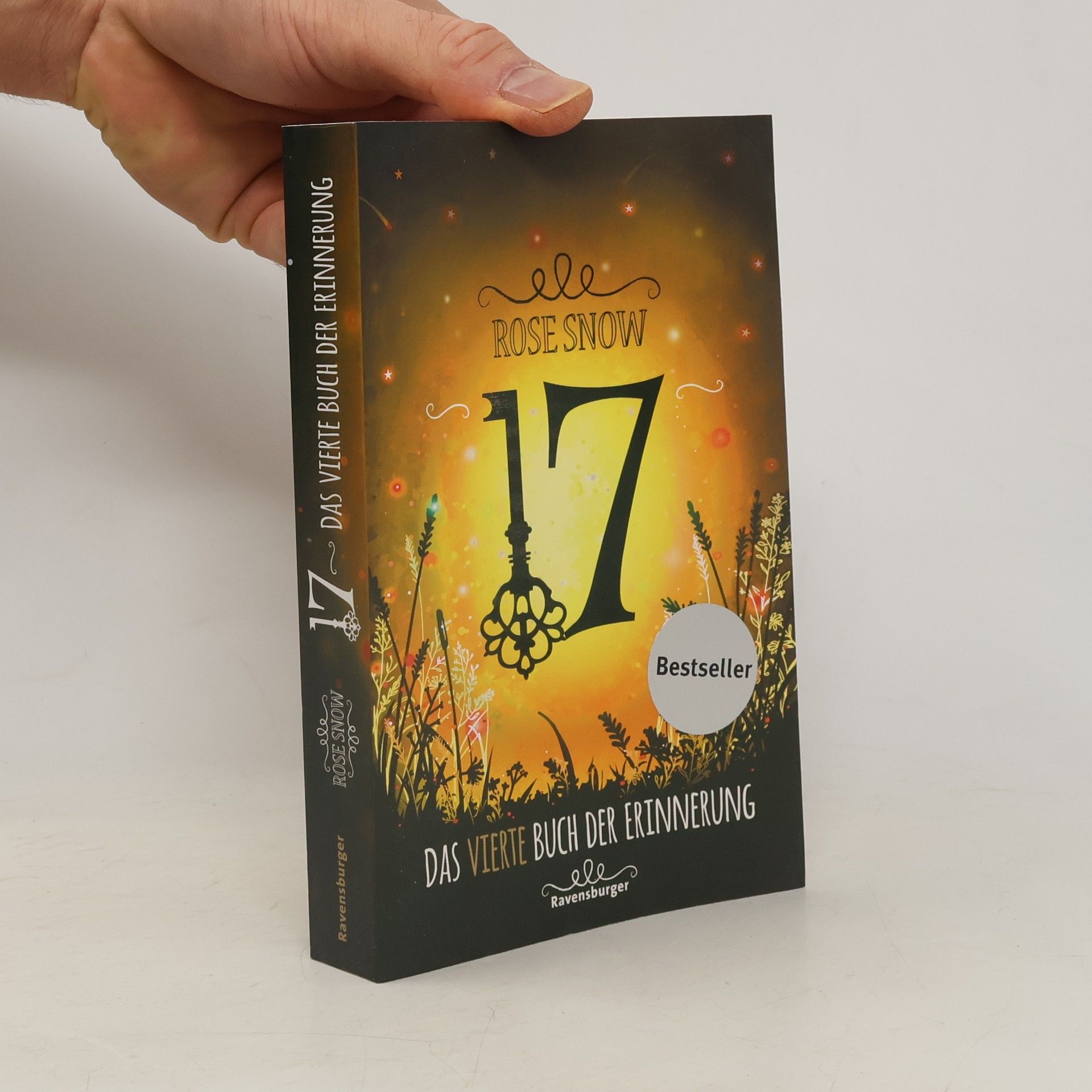 Rosie Snow 17: Das vierte Buch der Erinnerung