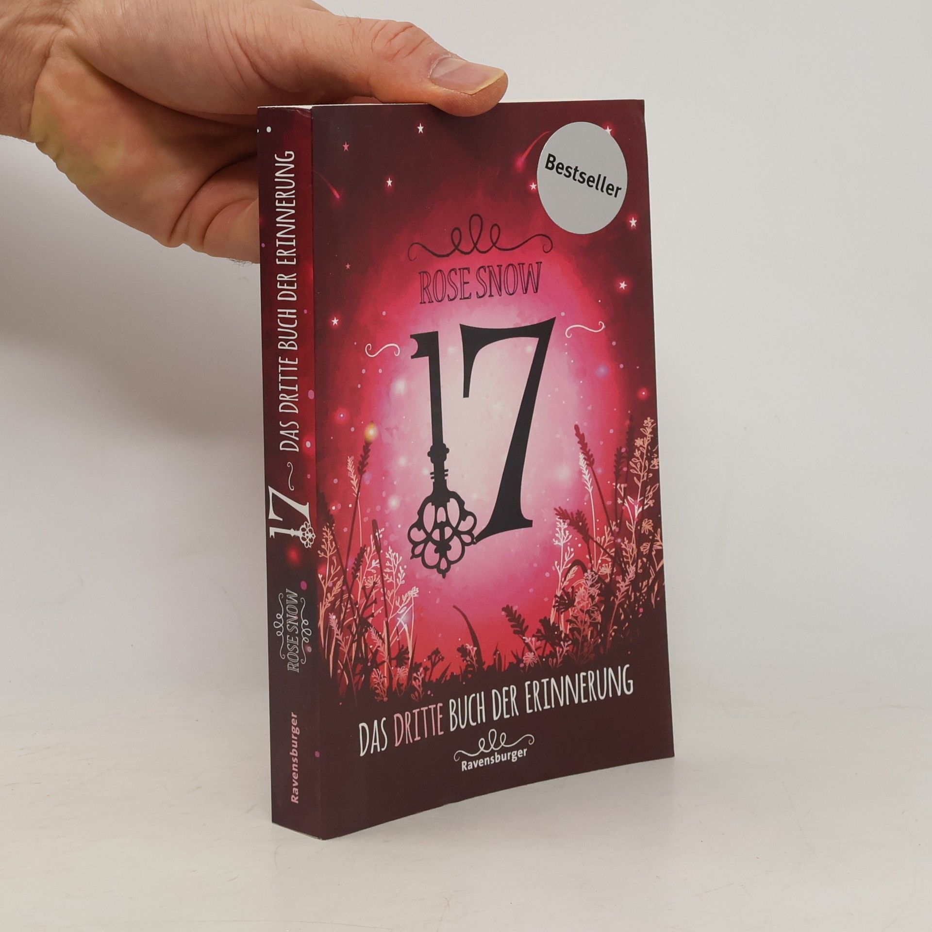 Rosie Snow 17: Das dritte Buch der Erinnerung