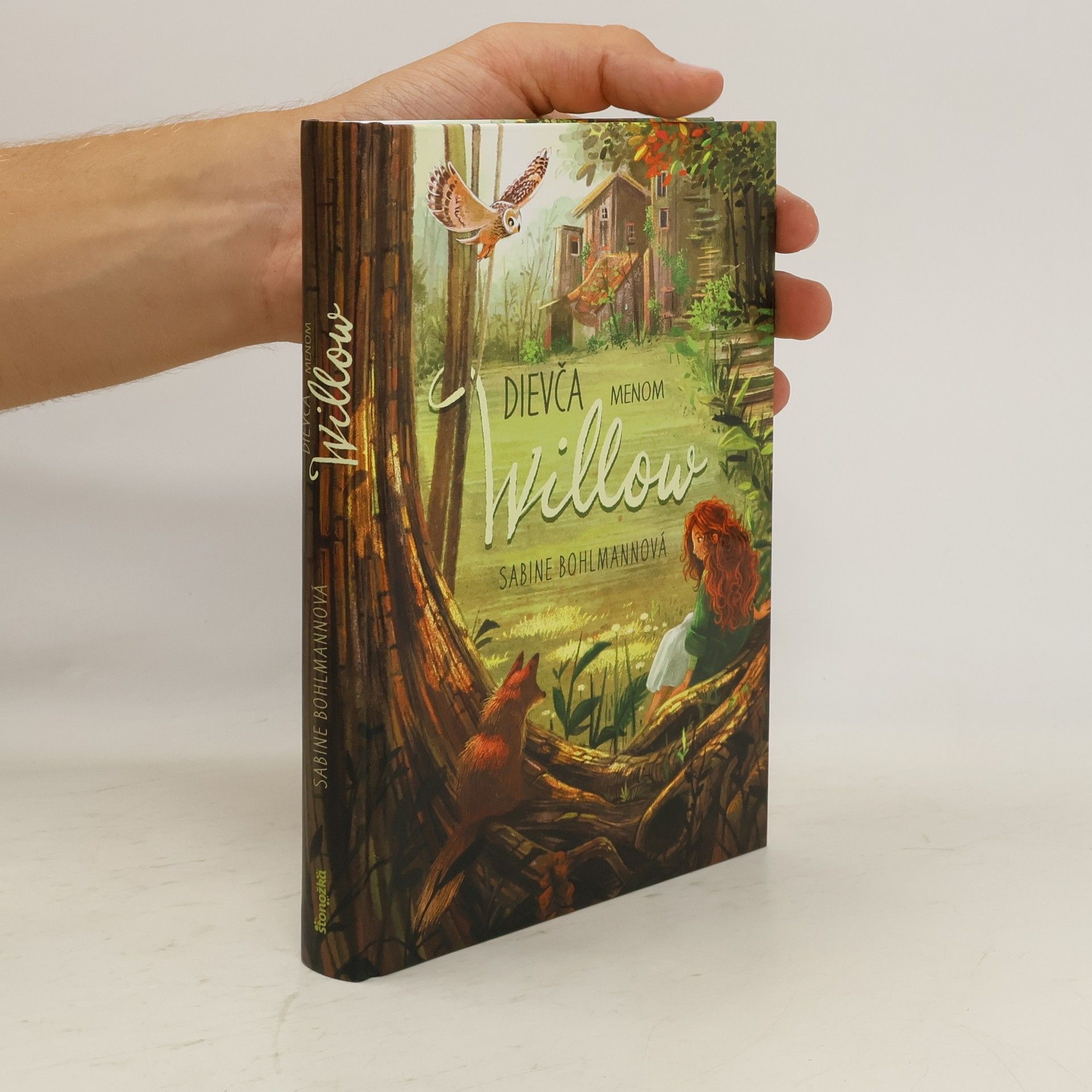 Sabine Bohlmann Dievča menom Willow