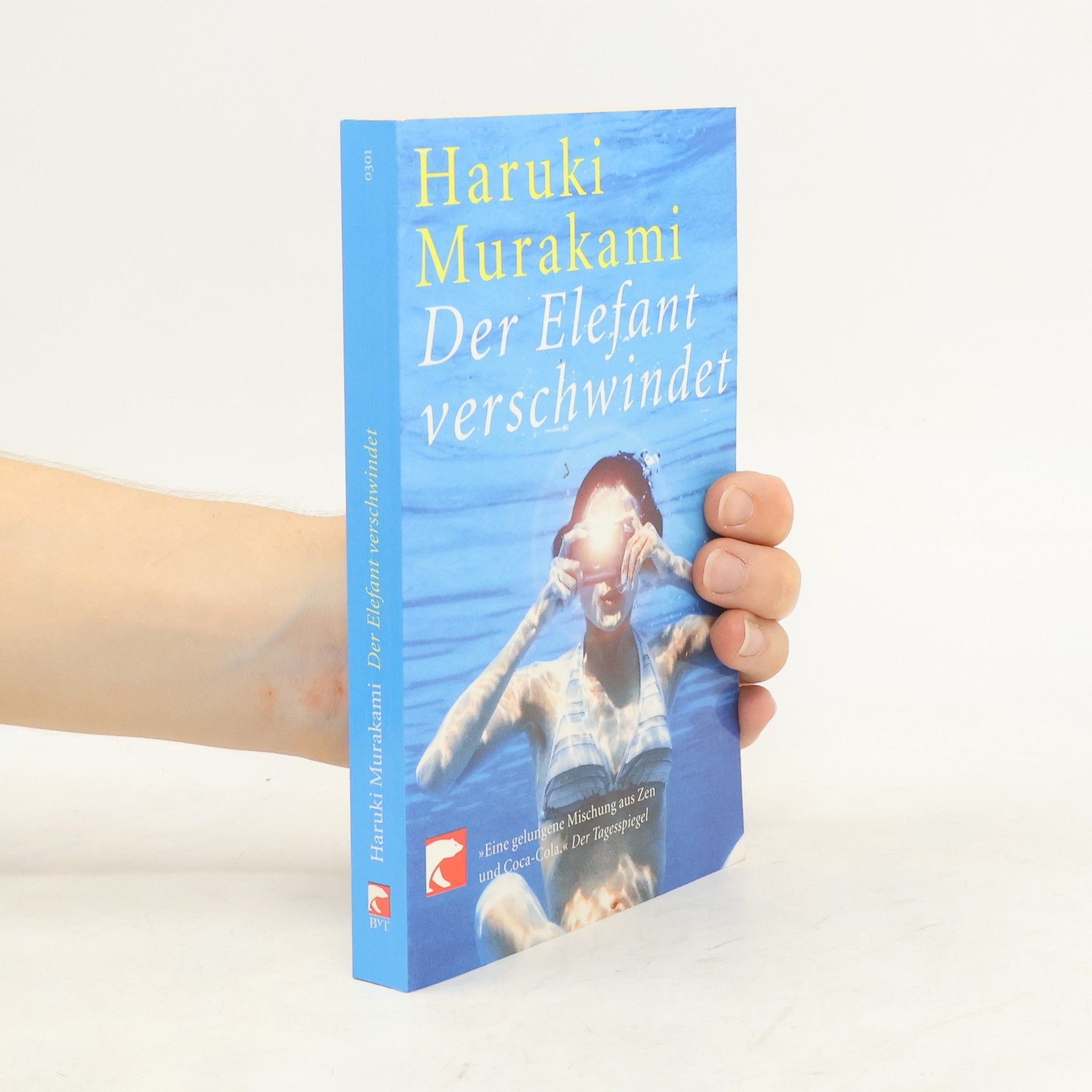 Haruki Murakami Der Elefant verschwindet