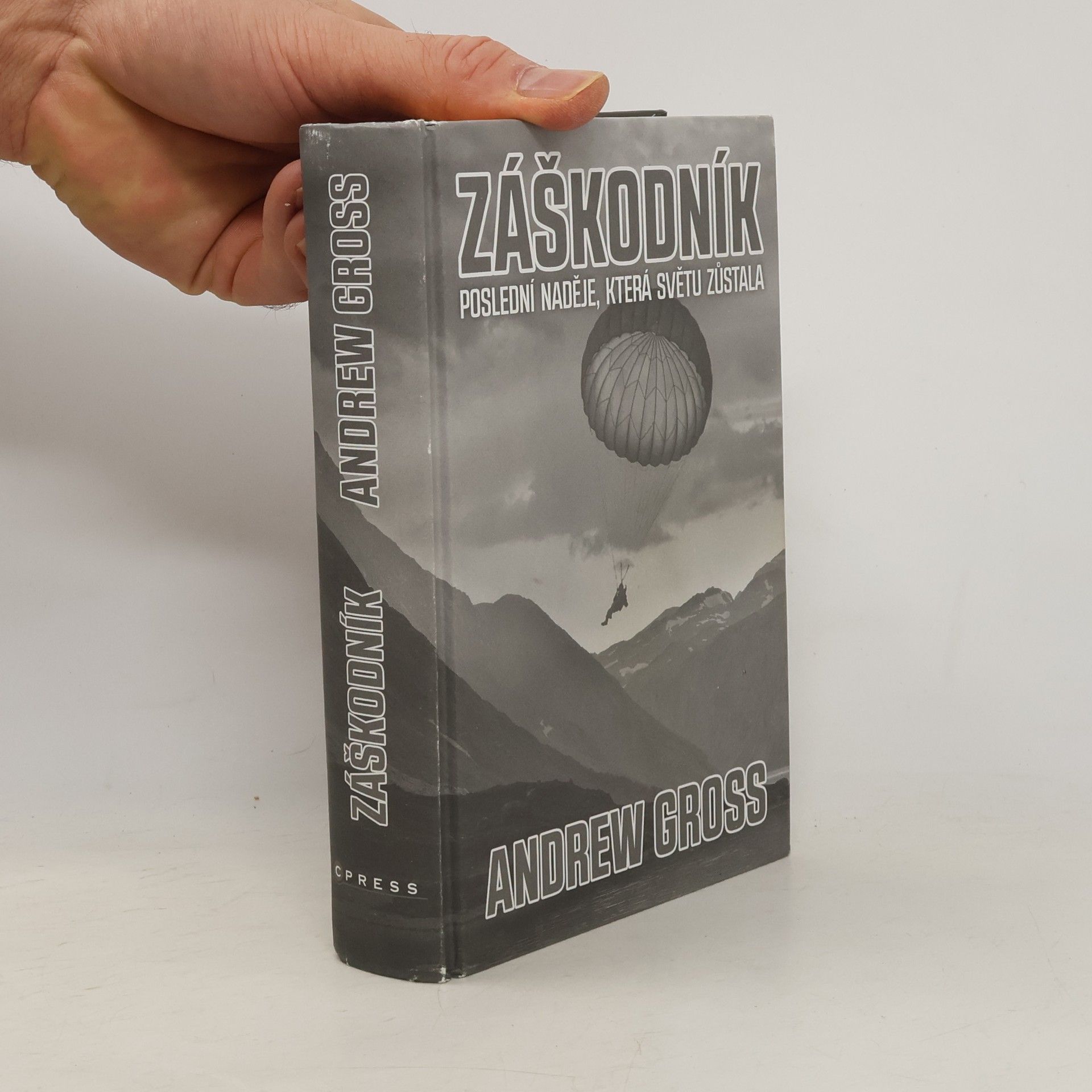 Andrew Gross Záškodník