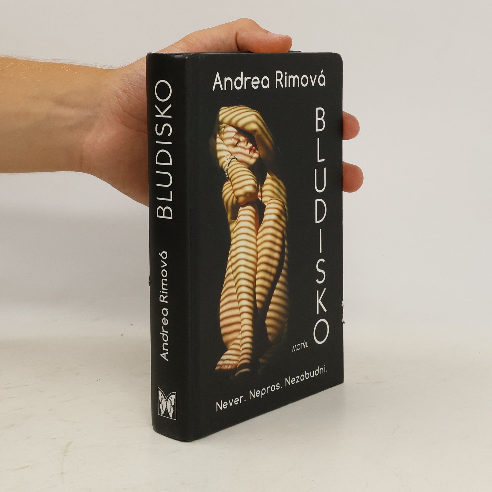 Andrea Rimová Bludisko
