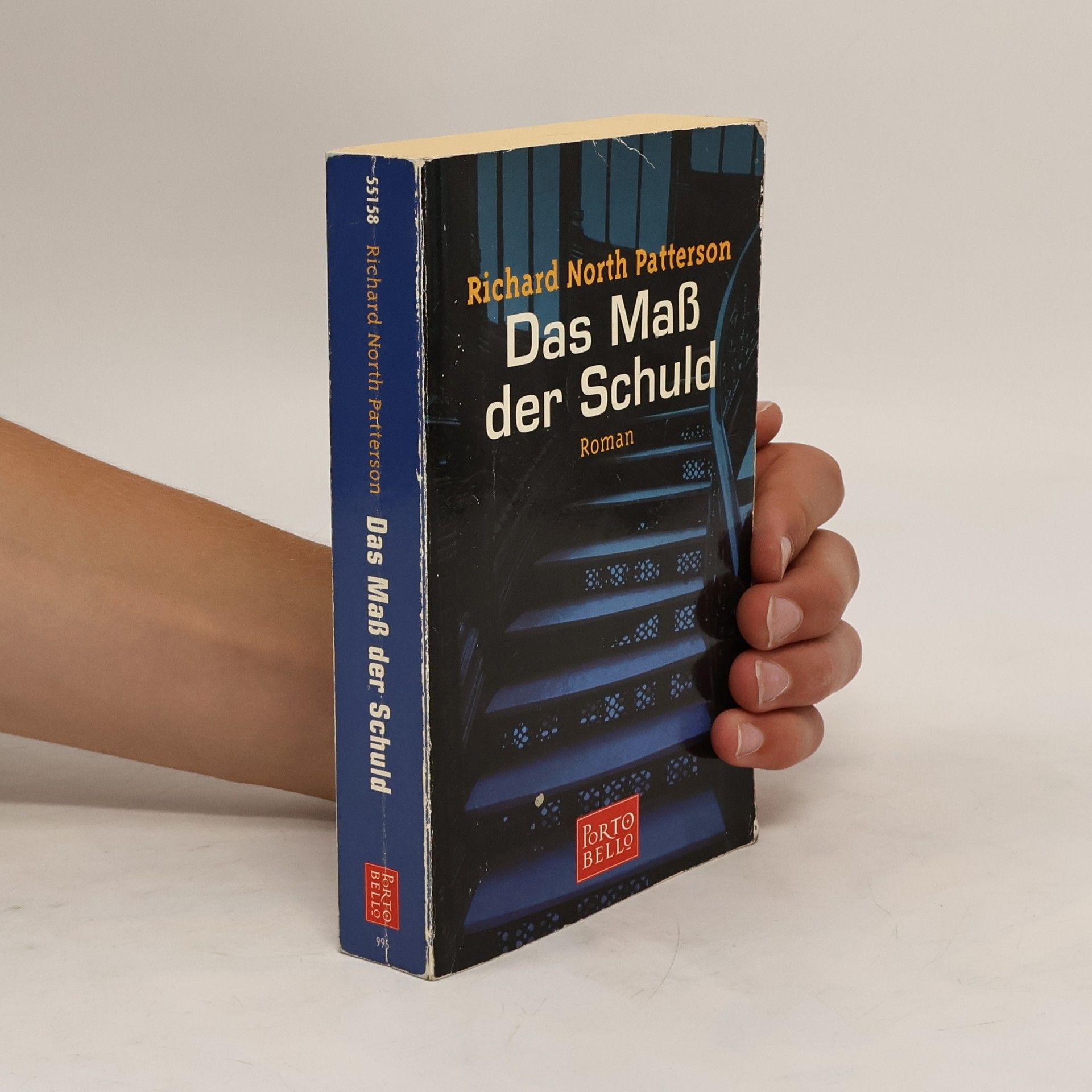 Richard North Patterson Das Maß der Schuld