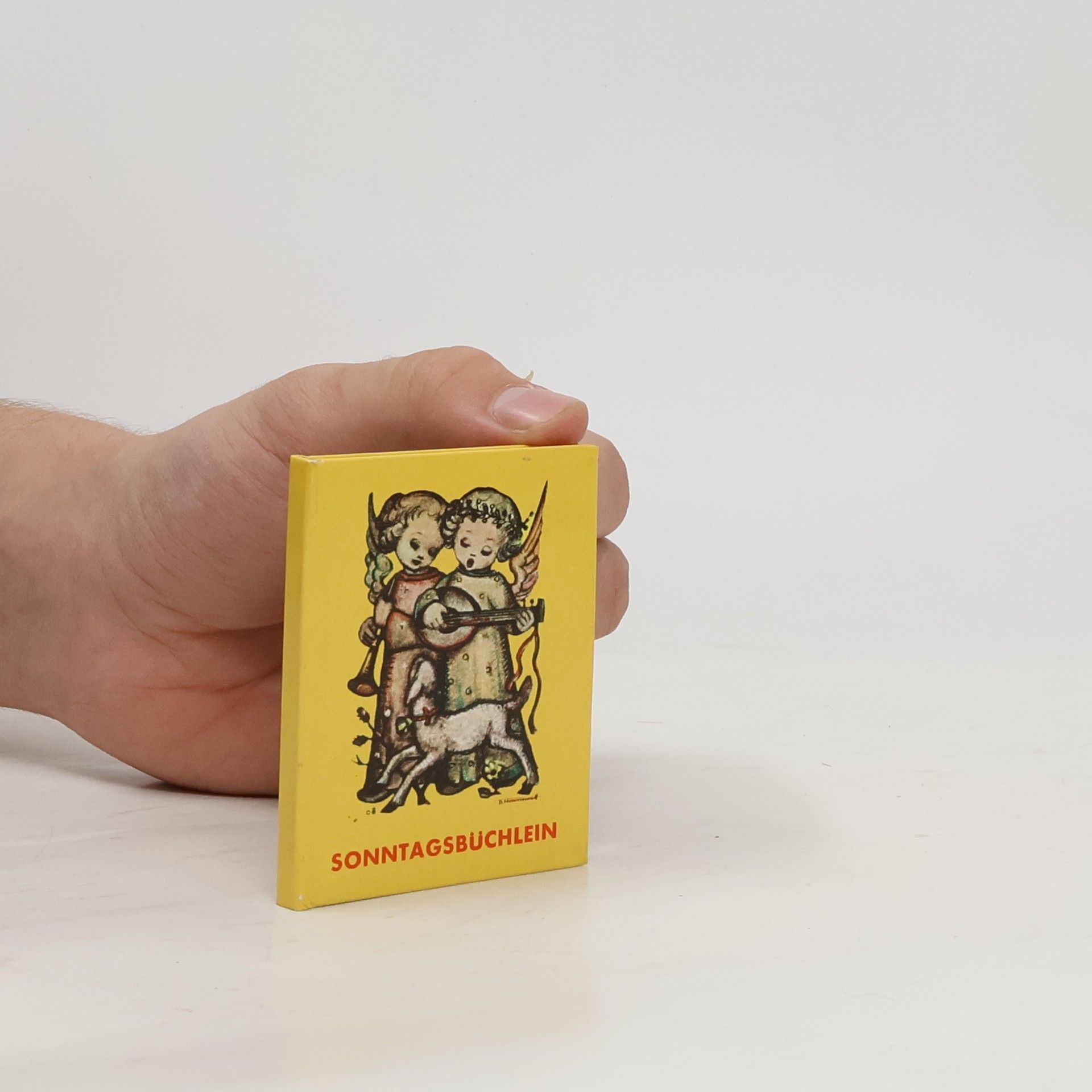 Collectif d'auteurs Sonntagsbüchlein