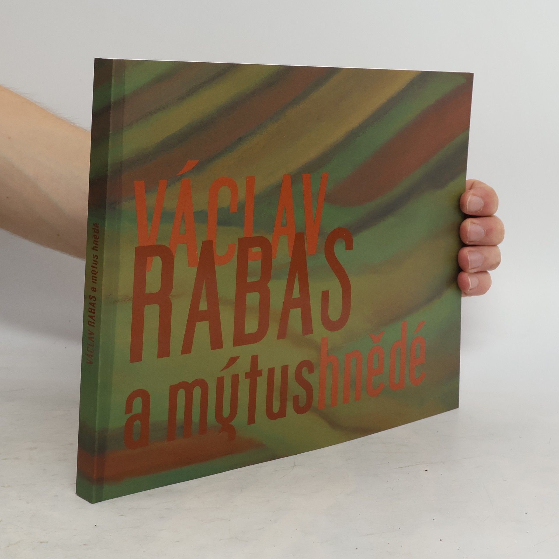 Collectif d'auteurs Václav Rabas a mýtus hnědé