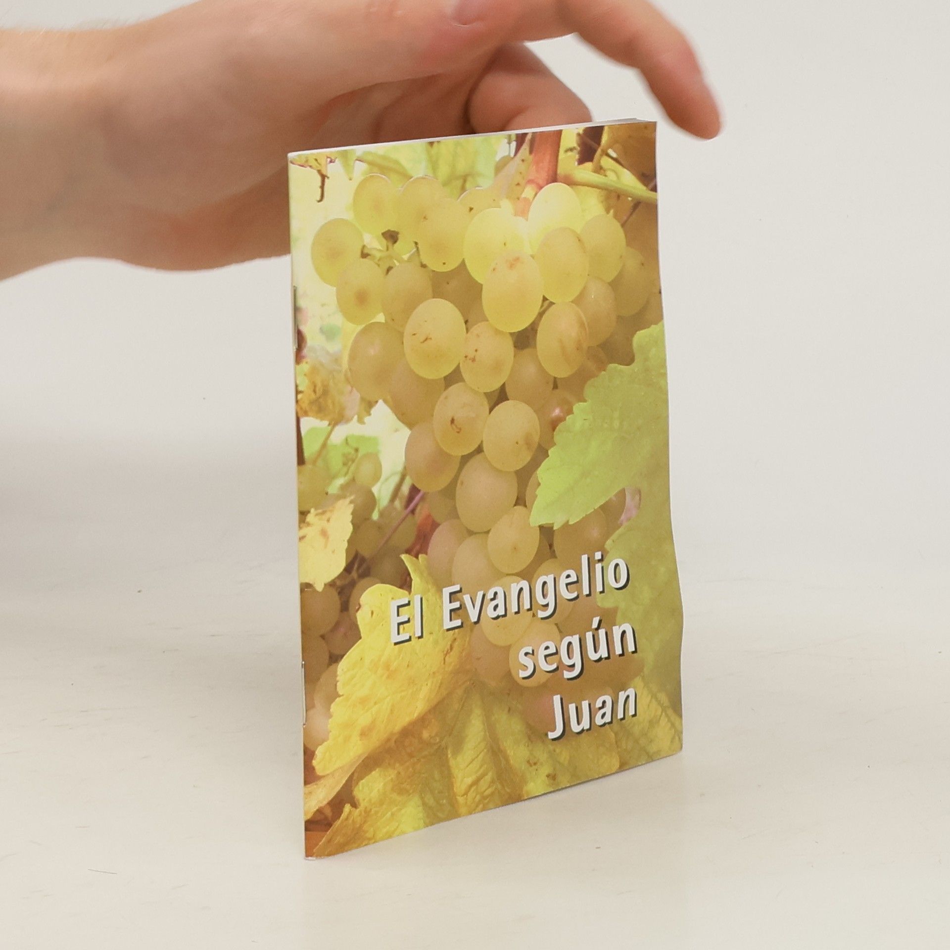 Autores varios El Evangelio según Juan