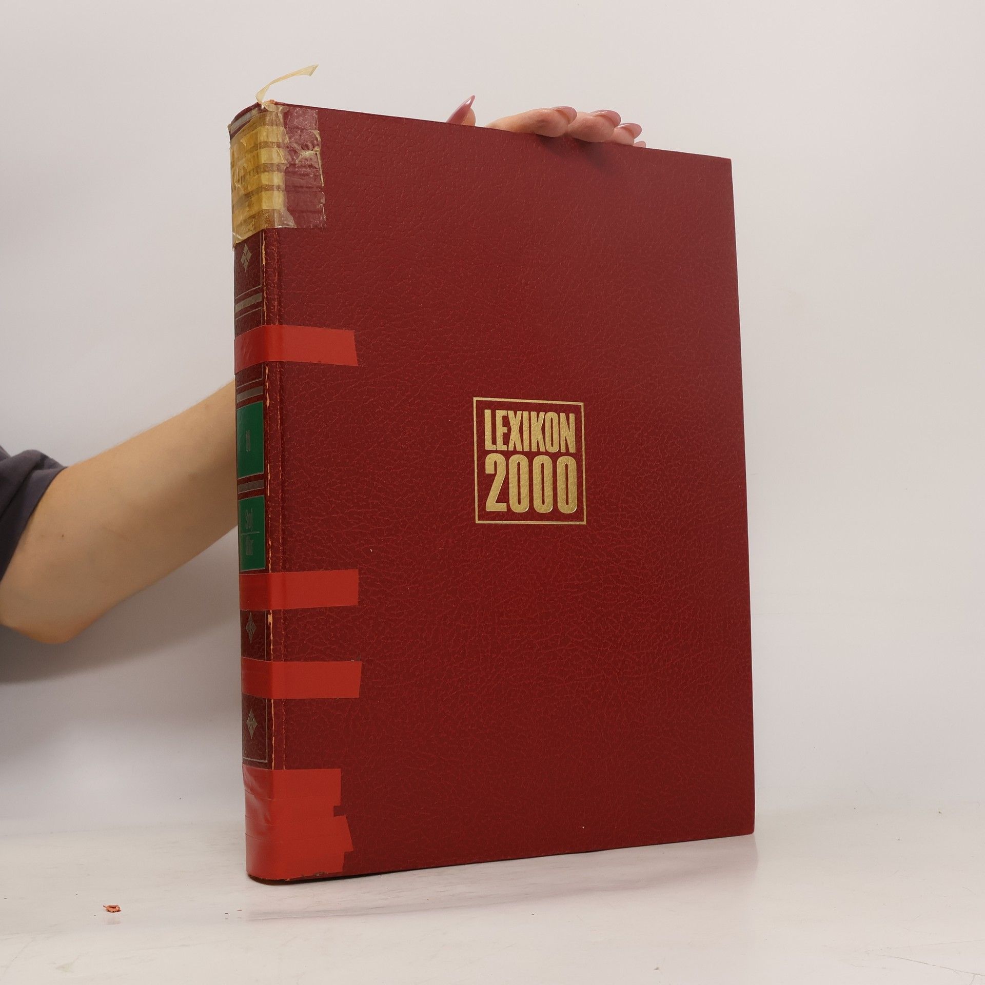 kolektiv Lexikon 2000 11 Soj-Ukr