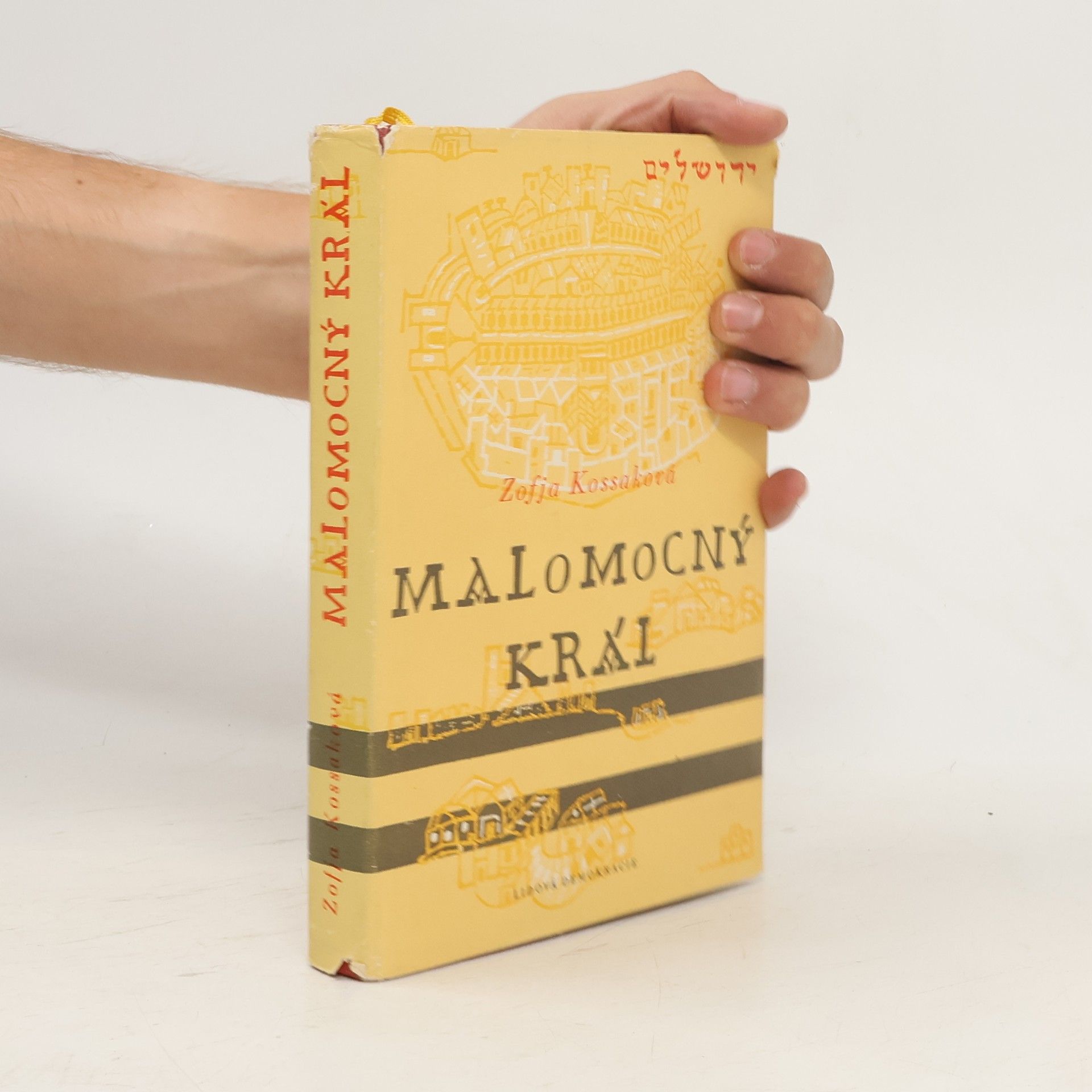 Zofia Kossak Malomocný král