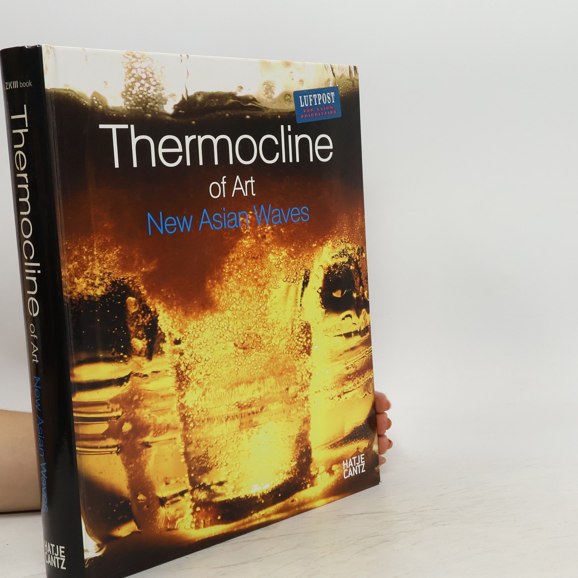 Wonil Rhee Thermocline of Art