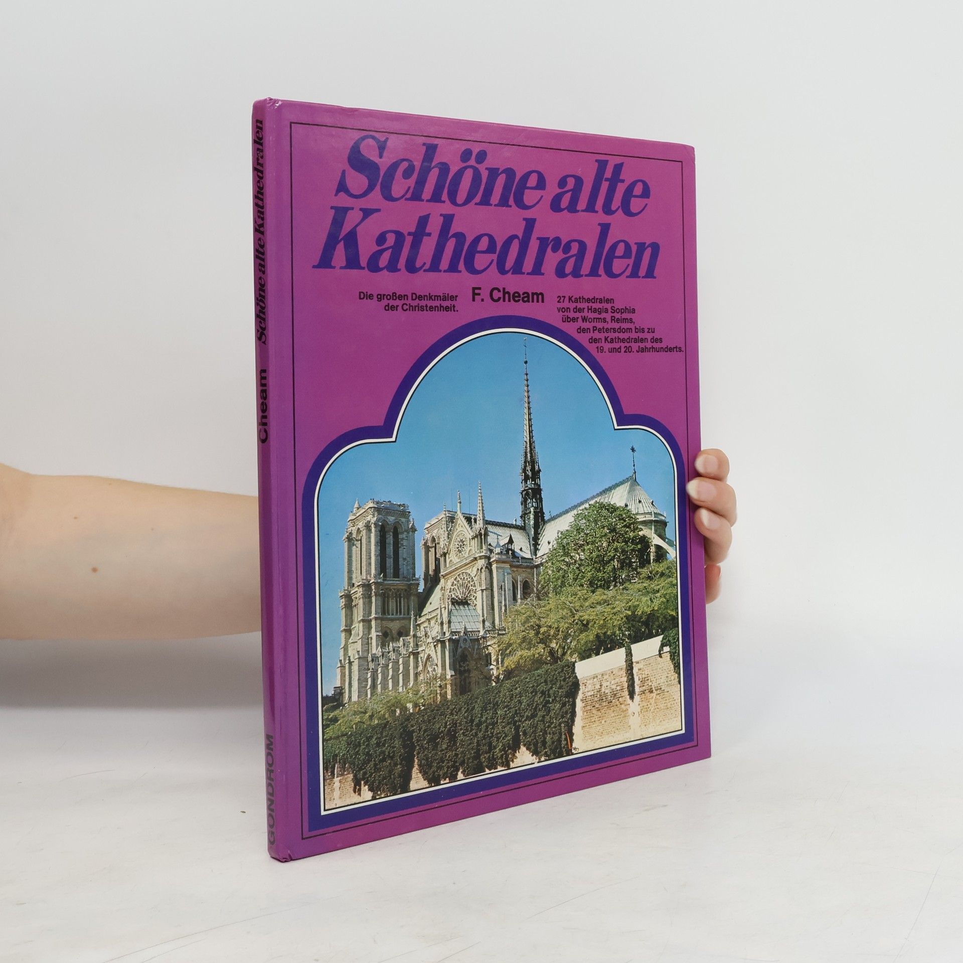 Frederick Cheam Schöne alte Kathedralen