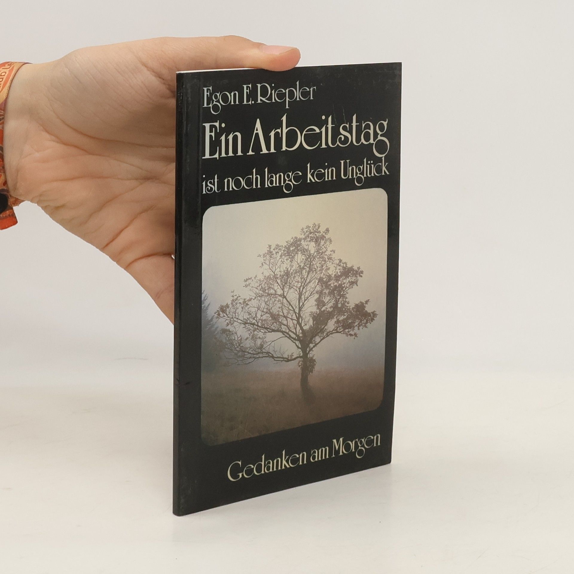 Egon E. Riepler Ein Arbeitstag ist noch lange kein Unglück